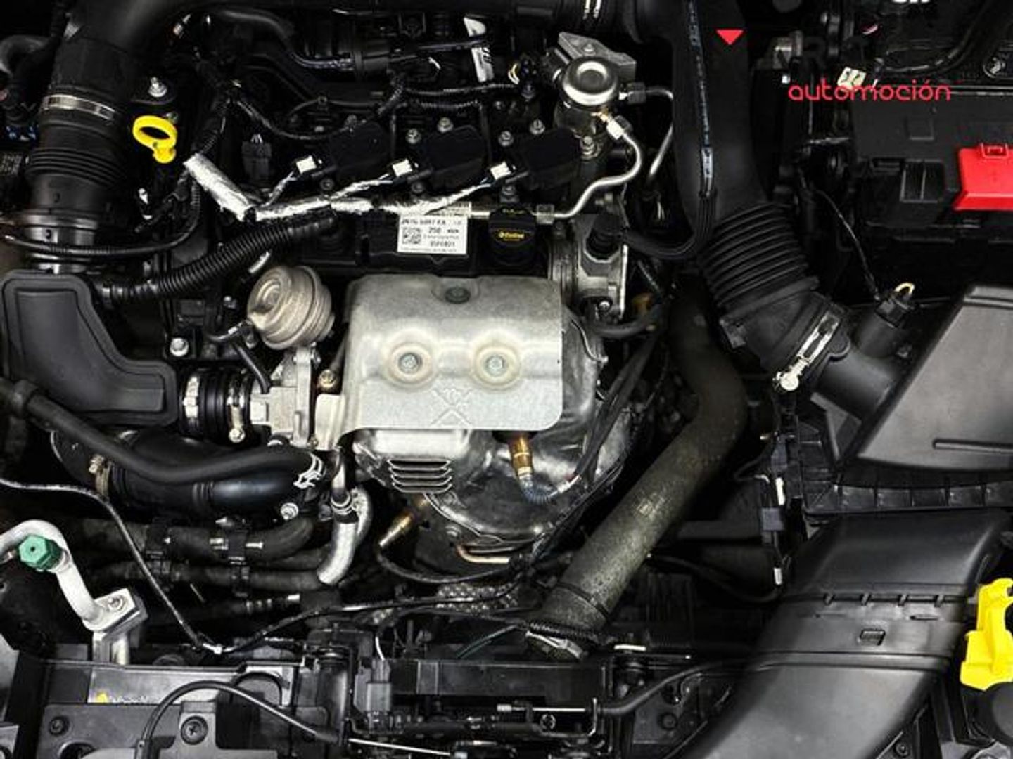 Ford EcoSport 1.0T EcoBoost S&S ST Line 92 kW (125 CV)