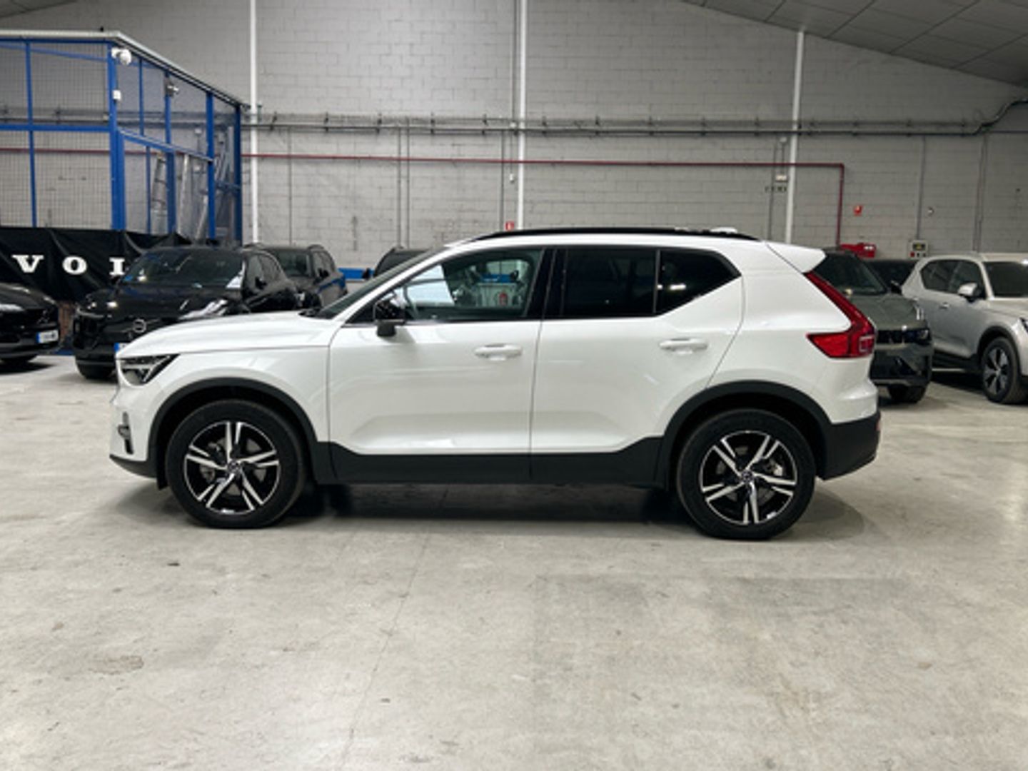 Volvo XC40 B3 G Plus Dark Auto 120 kW (163 CV)