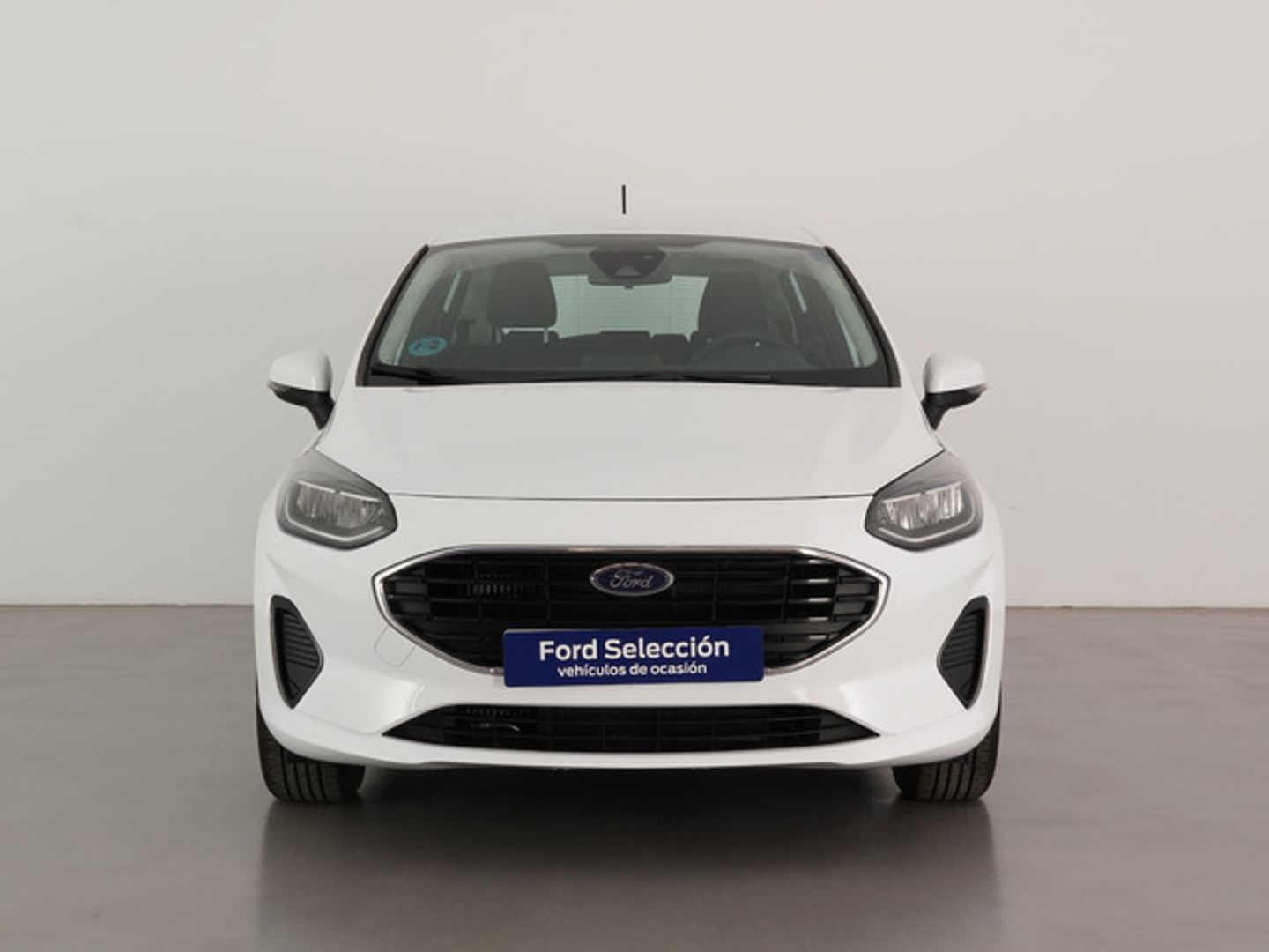 Ford Fiesta 1.0 EcoBoost Trend 74 kW (100 CV)