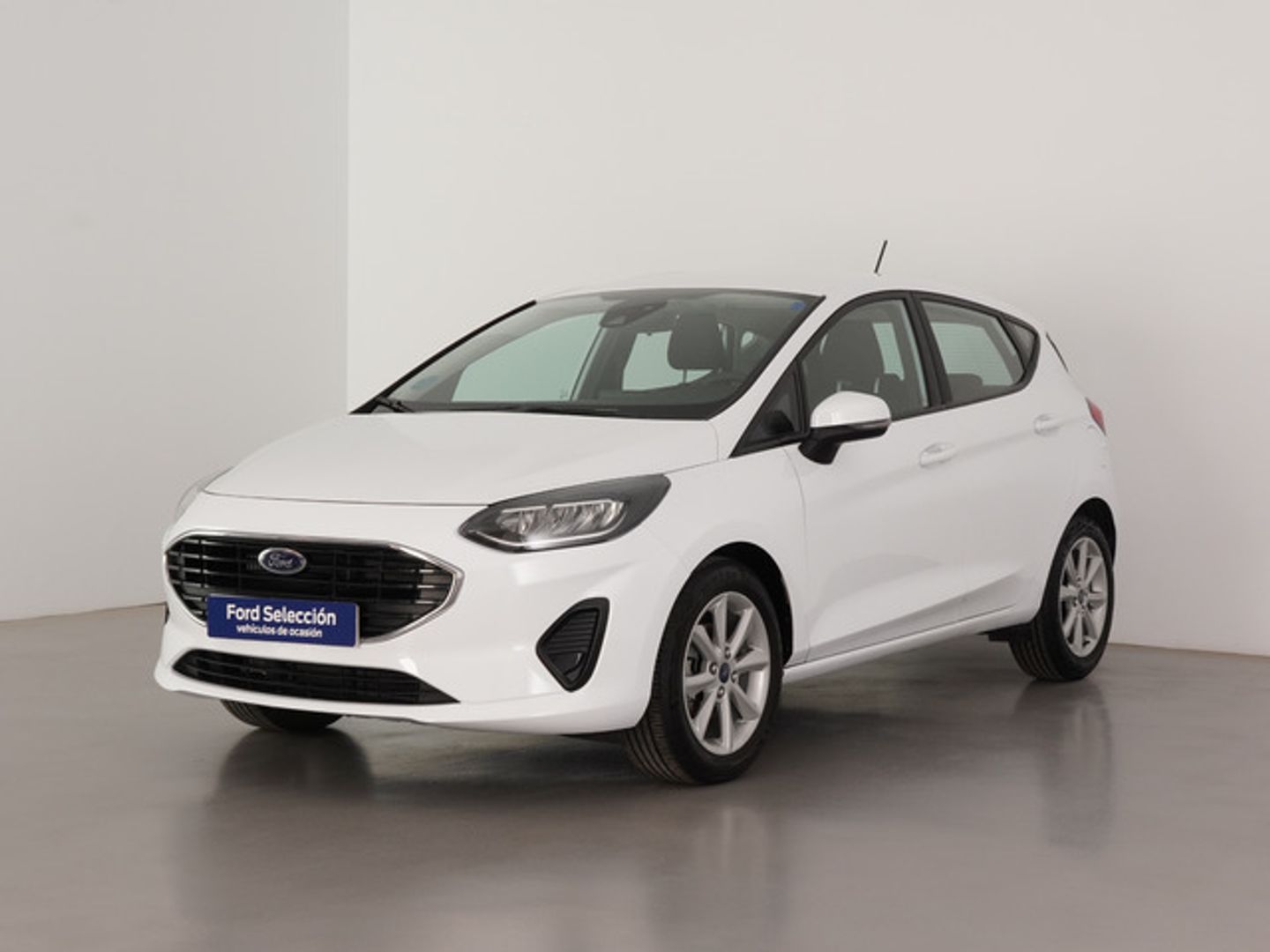 Ford Fiesta 1.0 EcoBoost Trend 74 kW (100 CV)