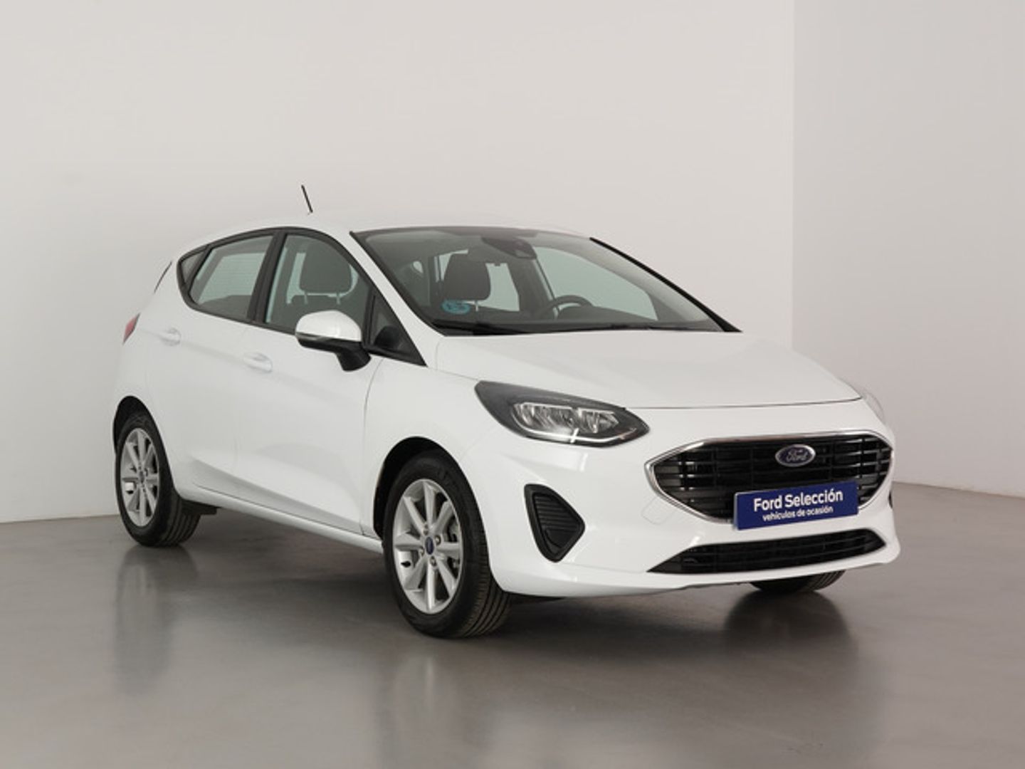 Ford Fiesta 1.0 EcoBoost Trend 74 kW (100 CV)
