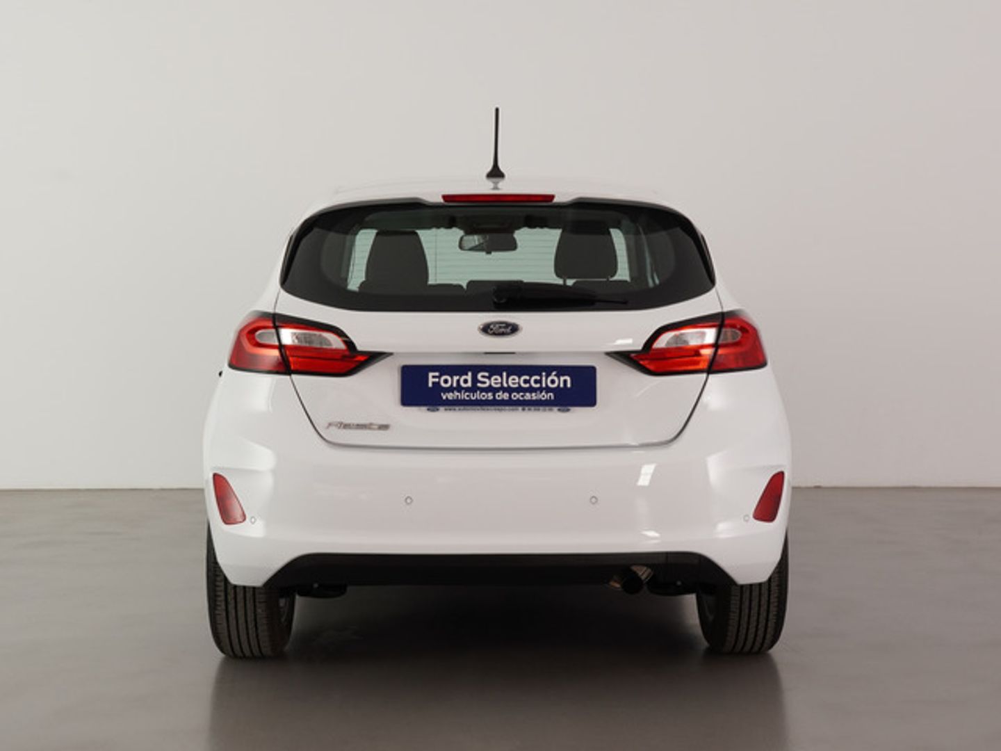 Ford Fiesta 1.0 EcoBoost Trend 74 kW (100 CV)