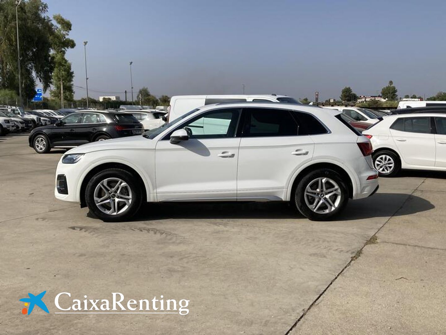Audi Q5 Advanced 35 TDI 120 kW (163 CV) S tronic