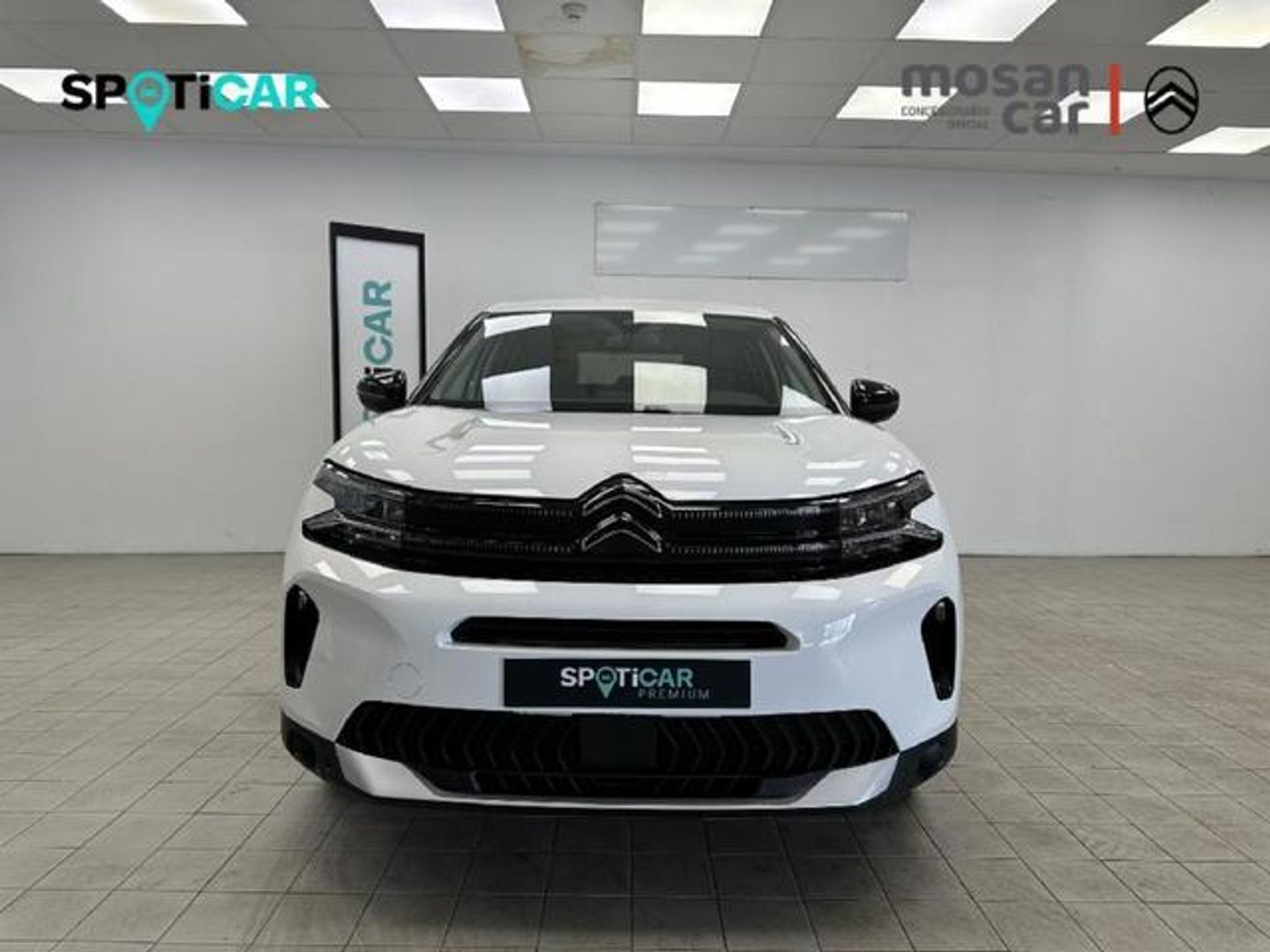 Citroen C5 Aircross Hybrid Plus e-DCS6 100 kW (136 CV)
