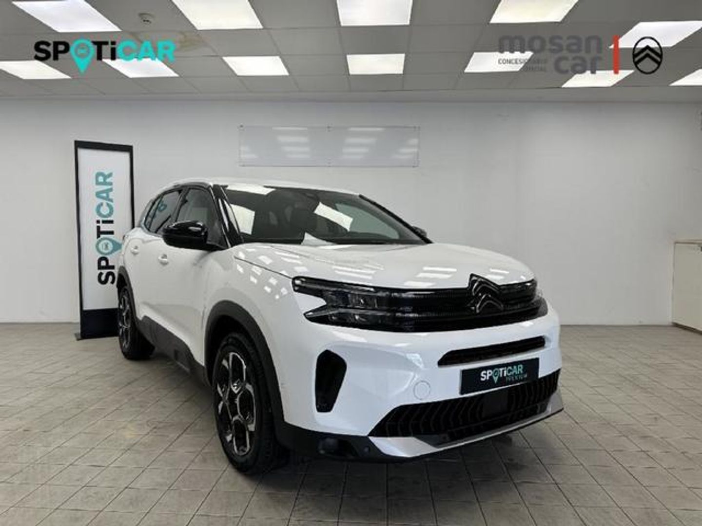 Citroen C5 Aircross Hybrid Plus e-DCS6 100 kW (136 CV)