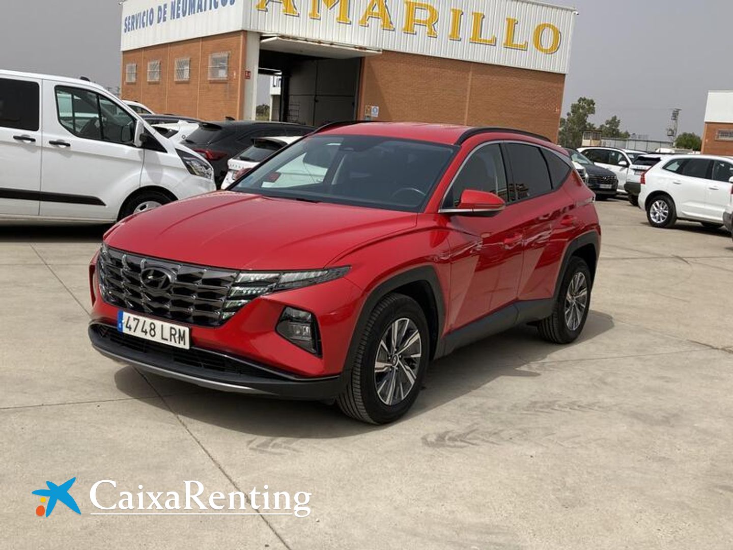 Hyundai Tucson 1.6 TGDI HEV Maxx Auto 169 kW (230 CV) Rojo SUV
