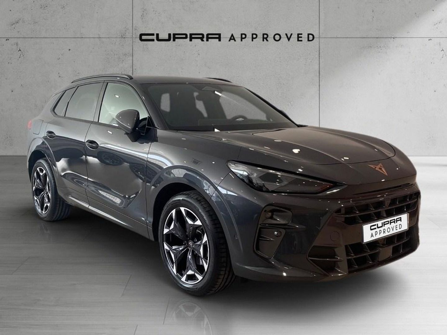 CUPRA Terramar 1.5 eTSI DSG 110 kW (150 CV) Gris SUV