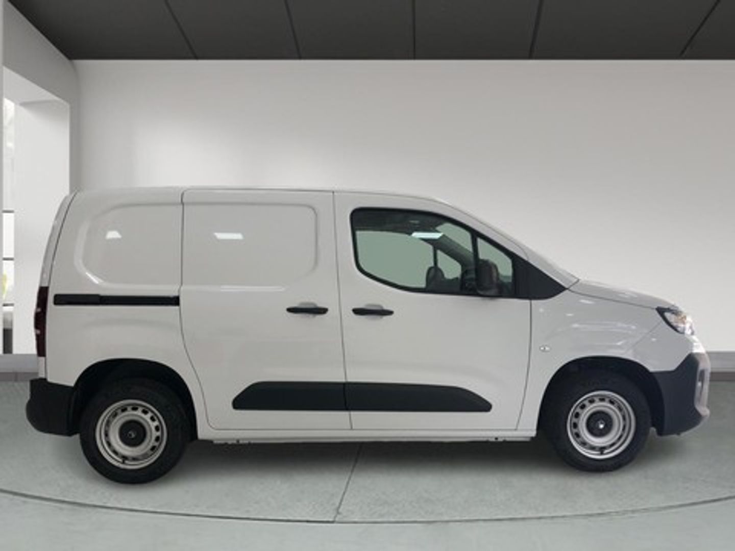 Citroen Berlingo Furgon BlueHDi 100 Talla M 75 kW (102 CV)