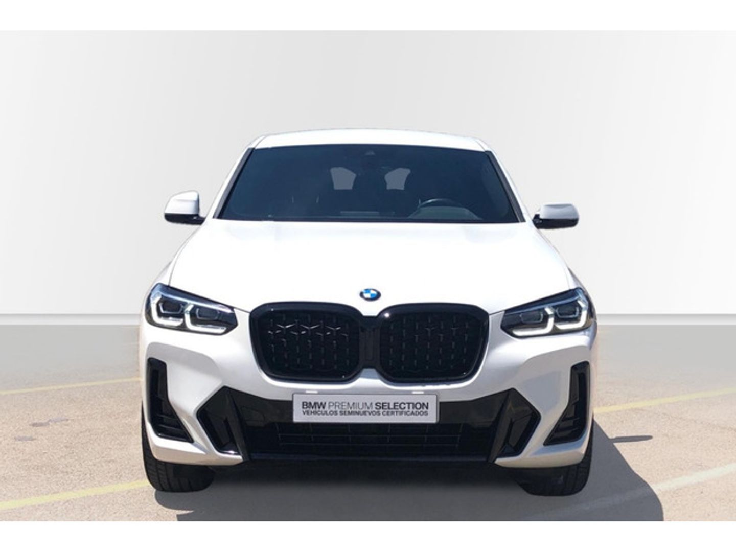BMW X4 xDrive20d xLine 140 kW (190 CV)