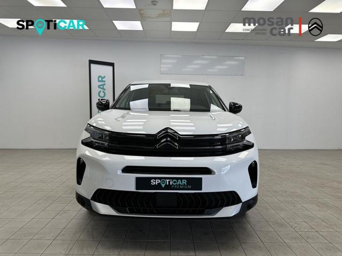 Citroen C5 Aircross Hybrid Plus e-DCS6 100 kW (136 CV)