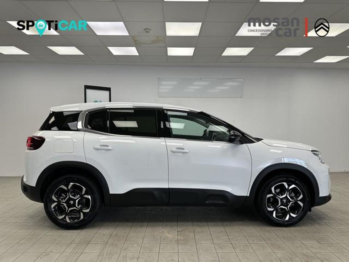 Citroen C5 Aircross Hybrid Plus e-DCS6 100 kW (136 CV)