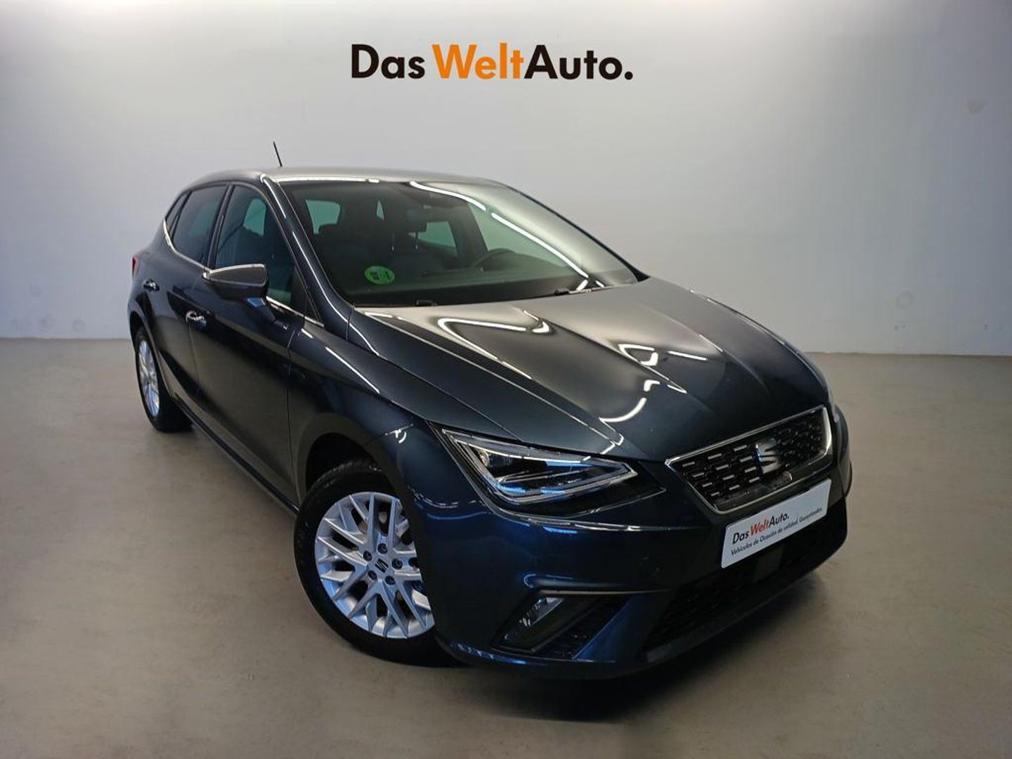 SEAT Ibiza 1.0 TSI Special Edition 85 kW (115 CV) Gris Sedan