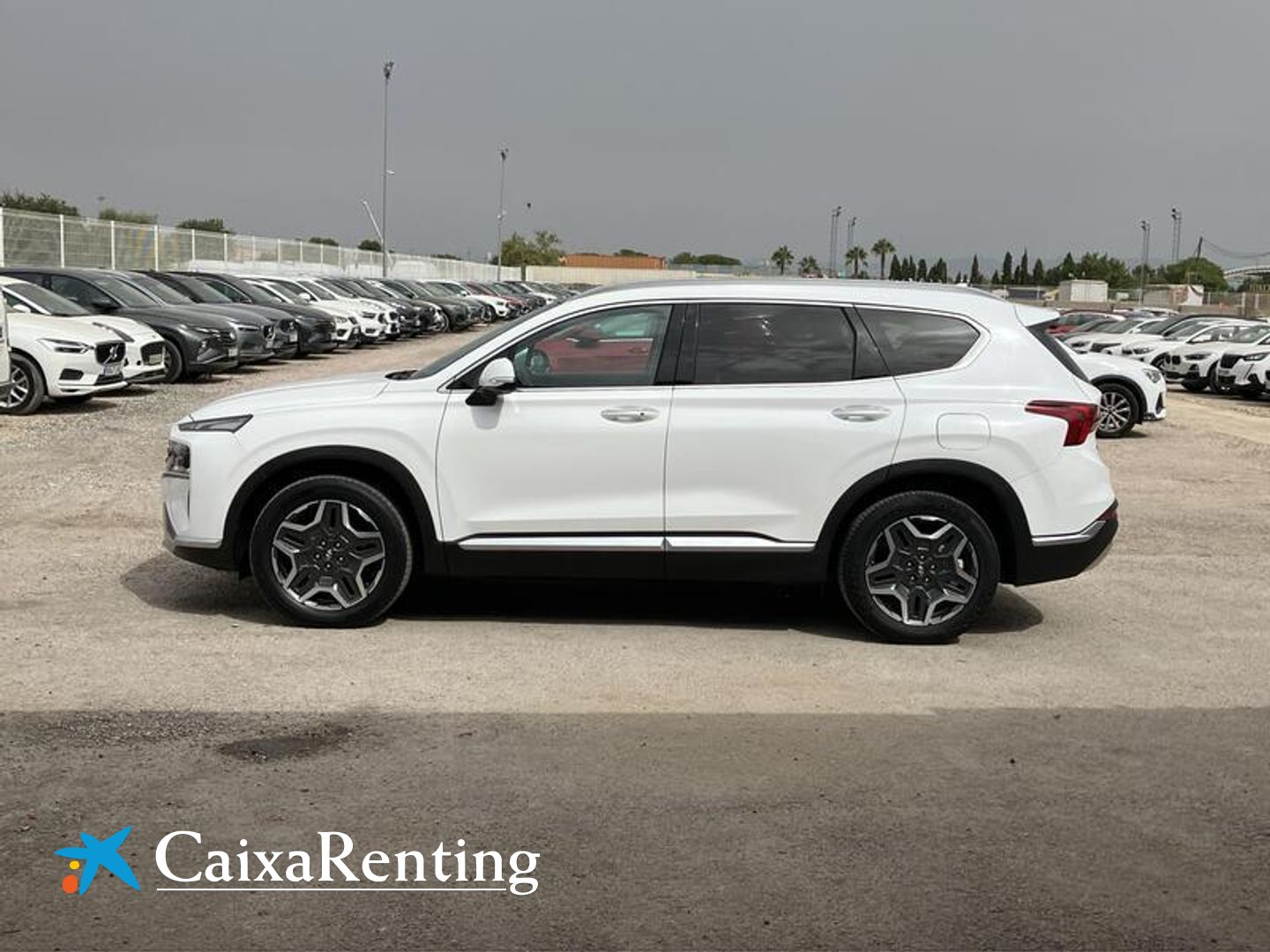 Hyundai Santa Fe 1.6 TGDi HEV Tecno 4x2 Auto 169 kW (230 CV)
