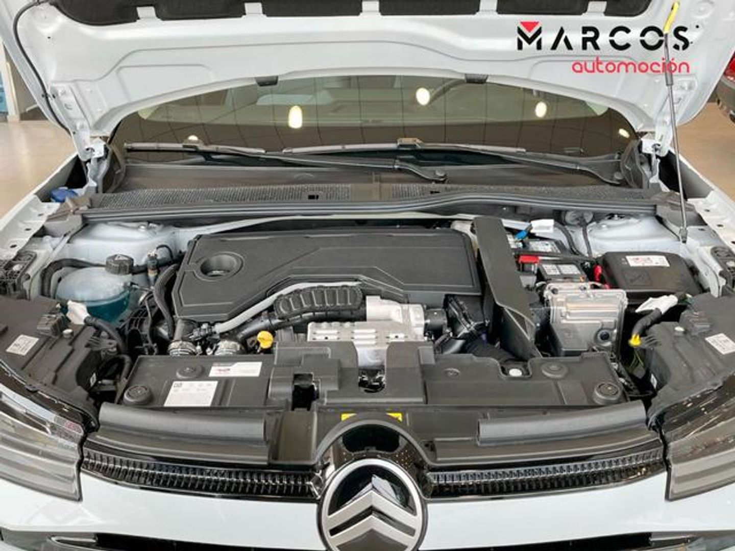 Citroen C4 Hybrid 145  Business Edition e-DCS6 07 kW (145 CV)
