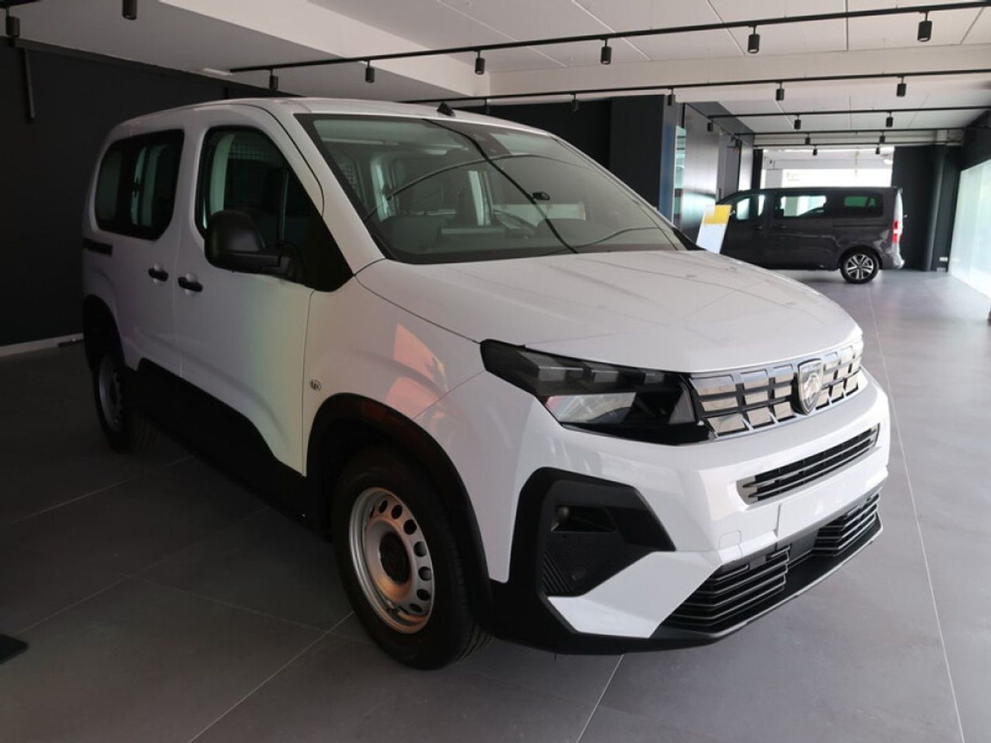 Peugeot Rifter Active Business Standard BlueHDi 73 kW (100 CV)