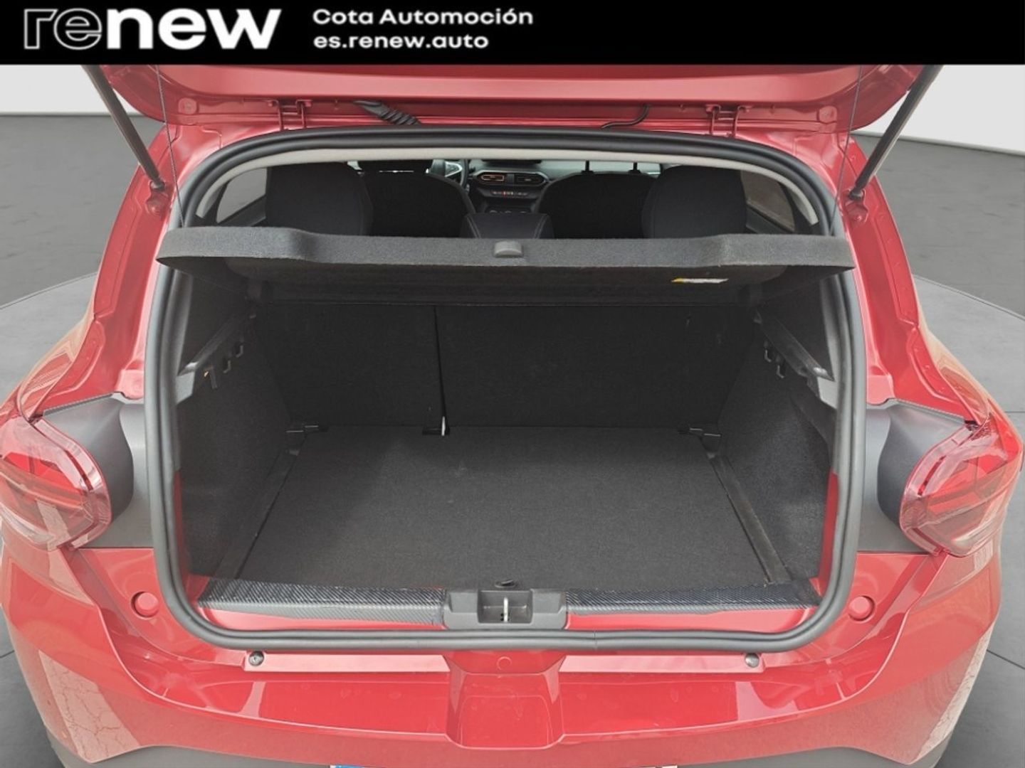 Dacia Sandero Stepway Comfort ECO-G 74 kW (101 CV)