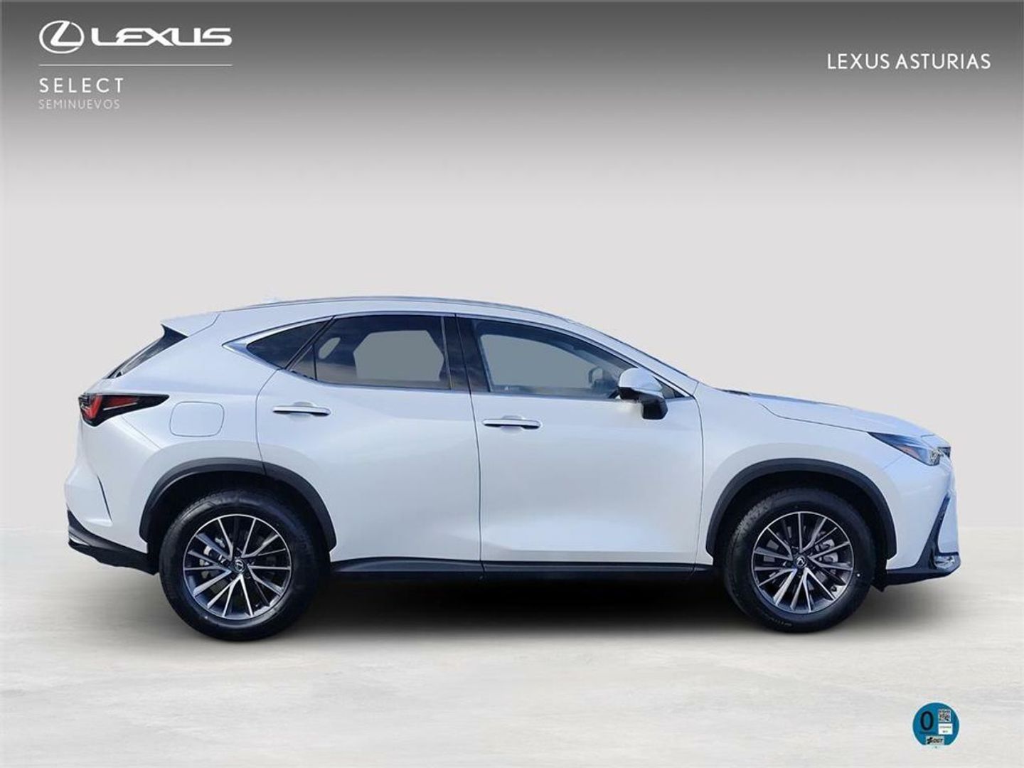 Lexus NX 350h Premium+ 4WD 178 kW (242 CV)