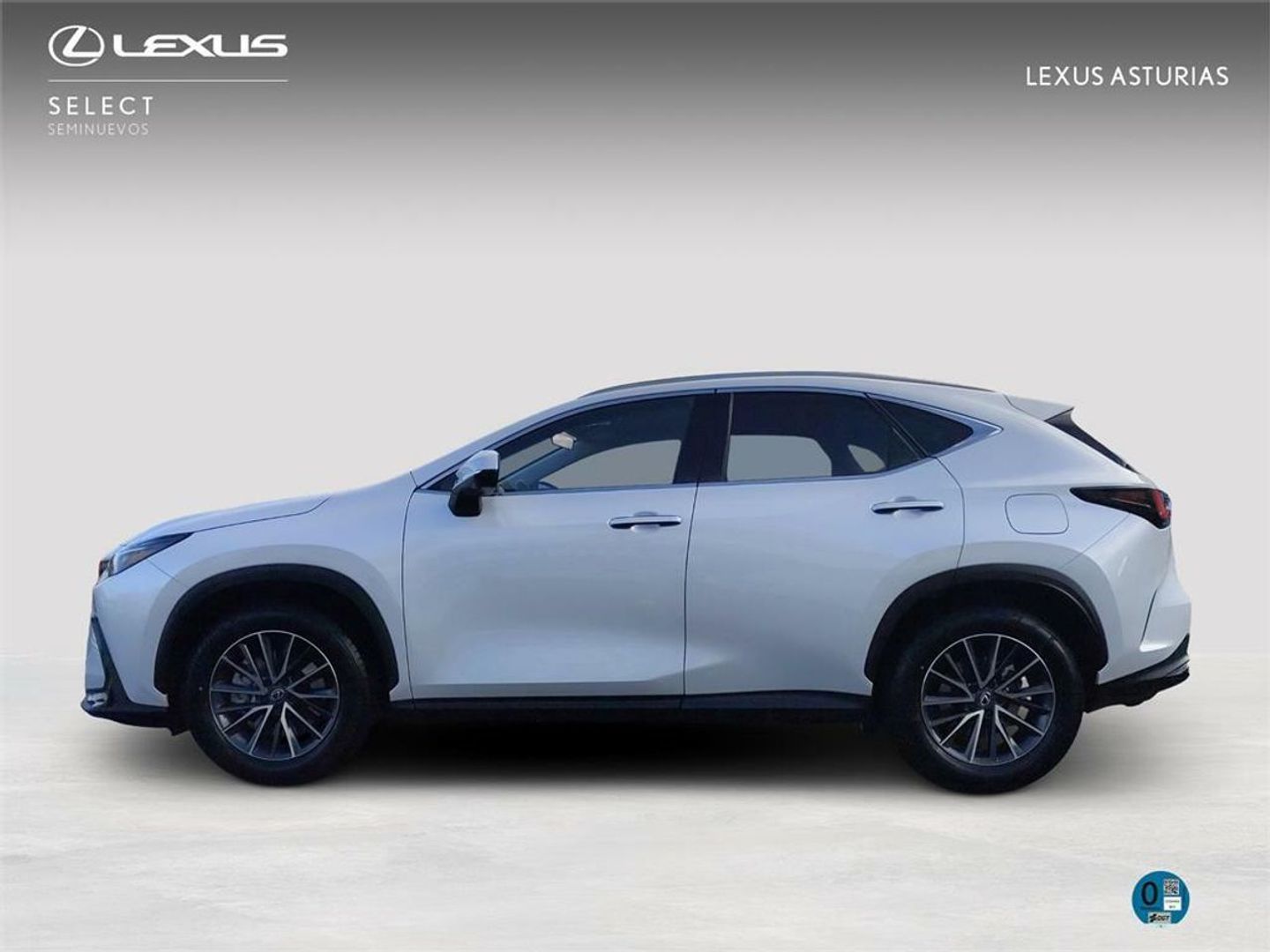 Lexus NX 350h Premium+ 4WD 178 kW (242 CV)