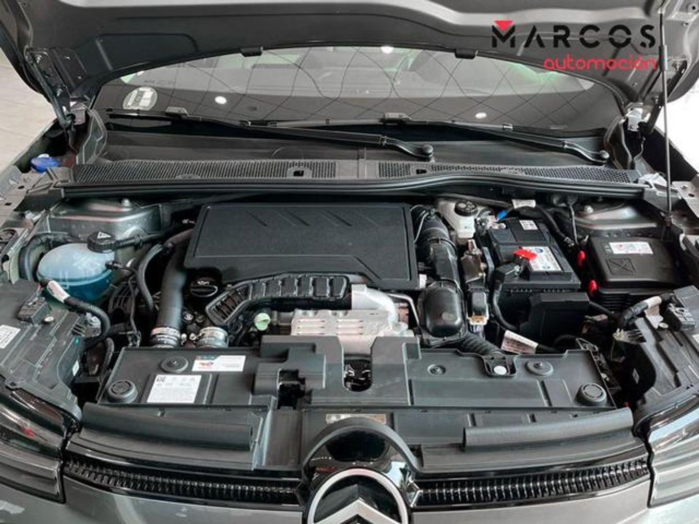 Citroen C4 PureTech 130 S&S Plus EAT8 96 kW (131 CV)