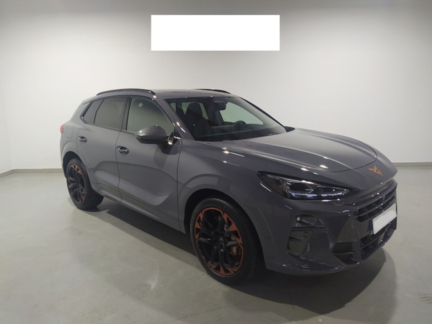 CUPRA Terramar 2.0 TSI VZ DSG 4 Drive 195 kW (265 CV) Gris SUV