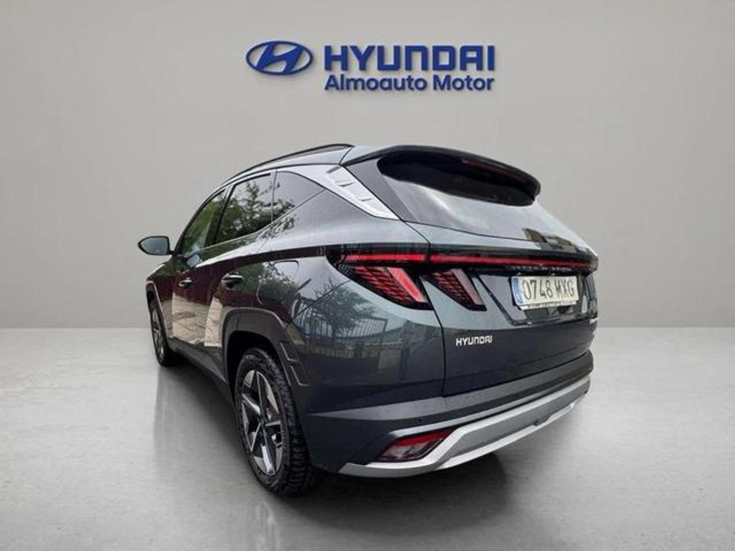 Hyundai Tucson 1.6 TGDI PHEV Tecno Sky 4x4 Auto 185 kW (252 CV)