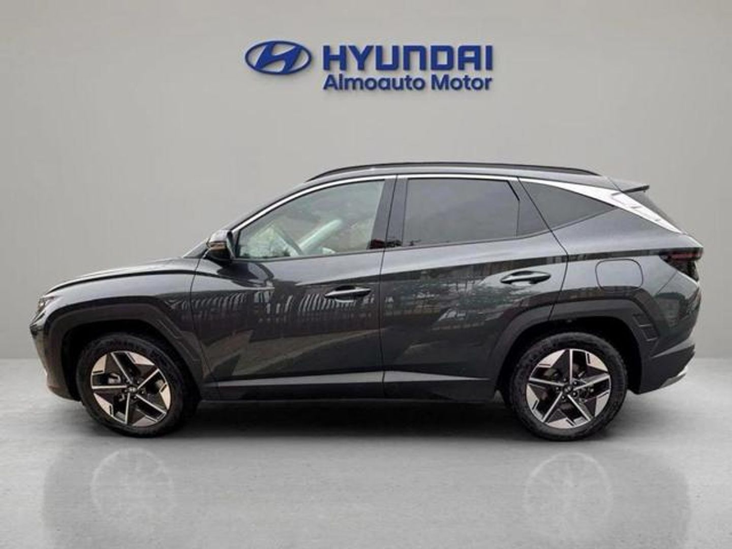 Hyundai Tucson 1.6 TGDI PHEV Tecno Sky 4x4 Auto 185 kW (252 CV)