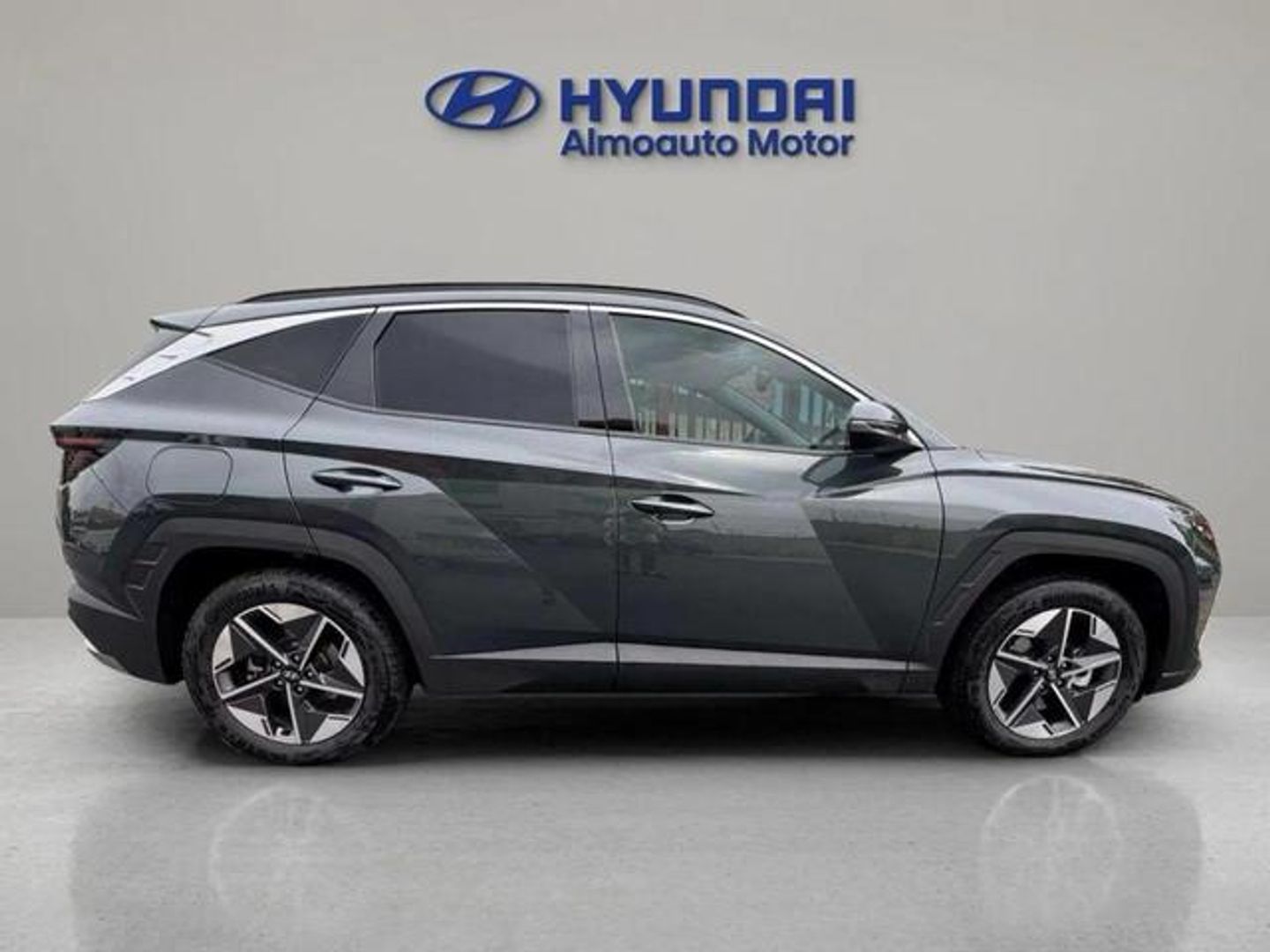 Hyundai Tucson 1.6 TGDI PHEV Tecno Sky 4x4 Auto 185 kW (252 CV)