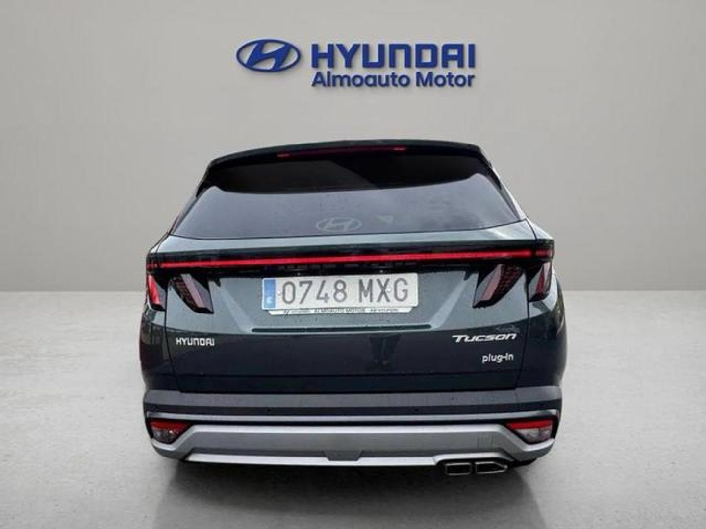 Hyundai Tucson 1.6 TGDI PHEV Tecno Sky 4x4 Auto 185 kW (252 CV)