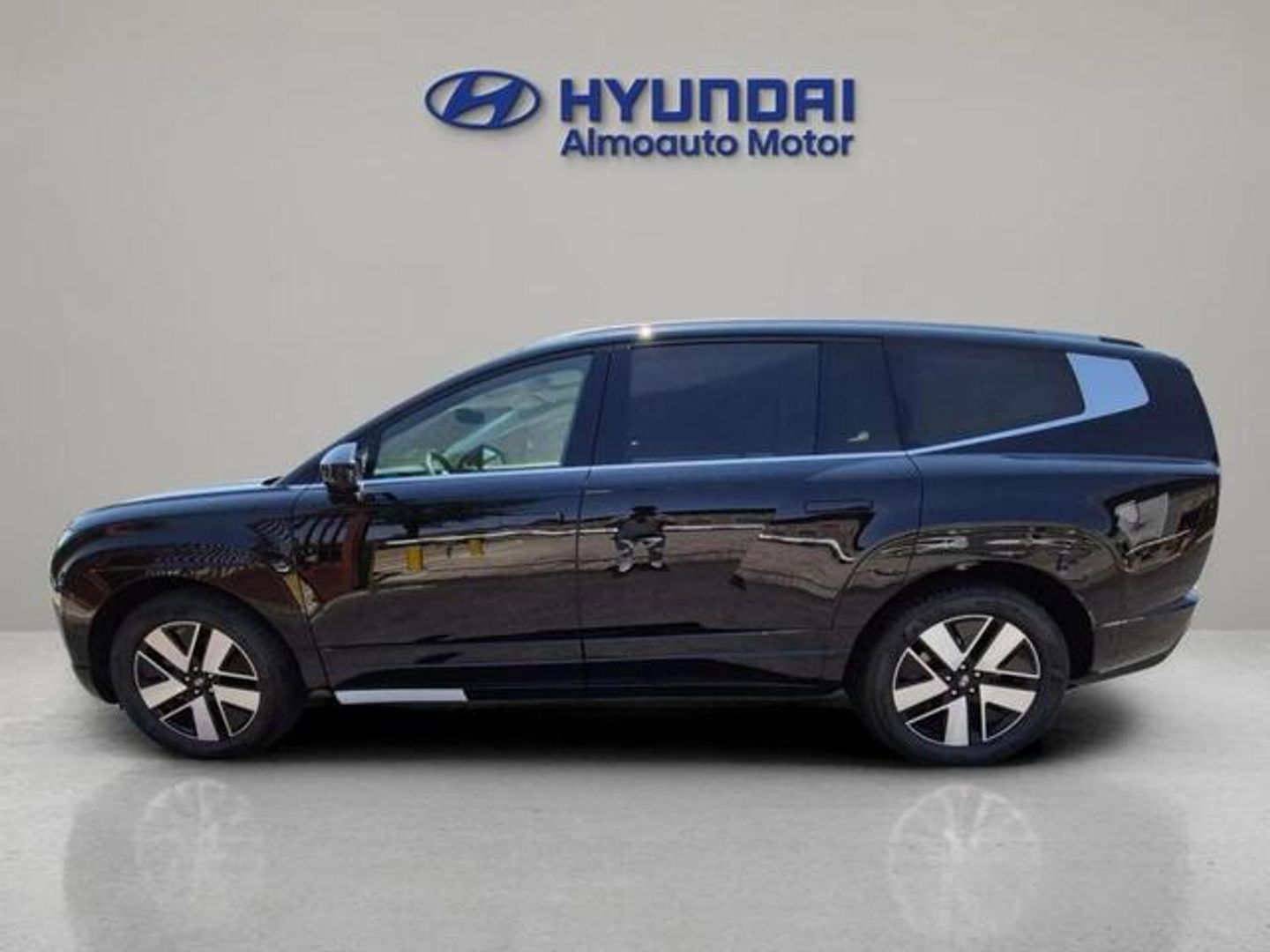 Hyundai Ioniq 9 110kWh AWD Energy 230 kW (313 CV)
