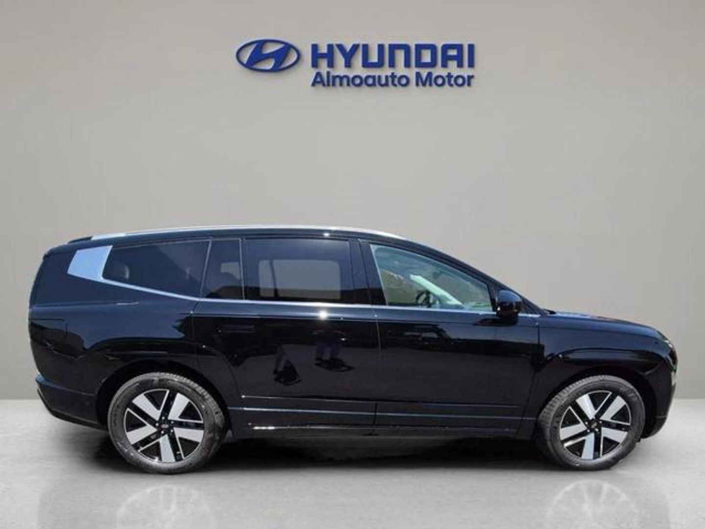 Hyundai Ioniq 9 110kWh AWD Energy 230 kW (313 CV)