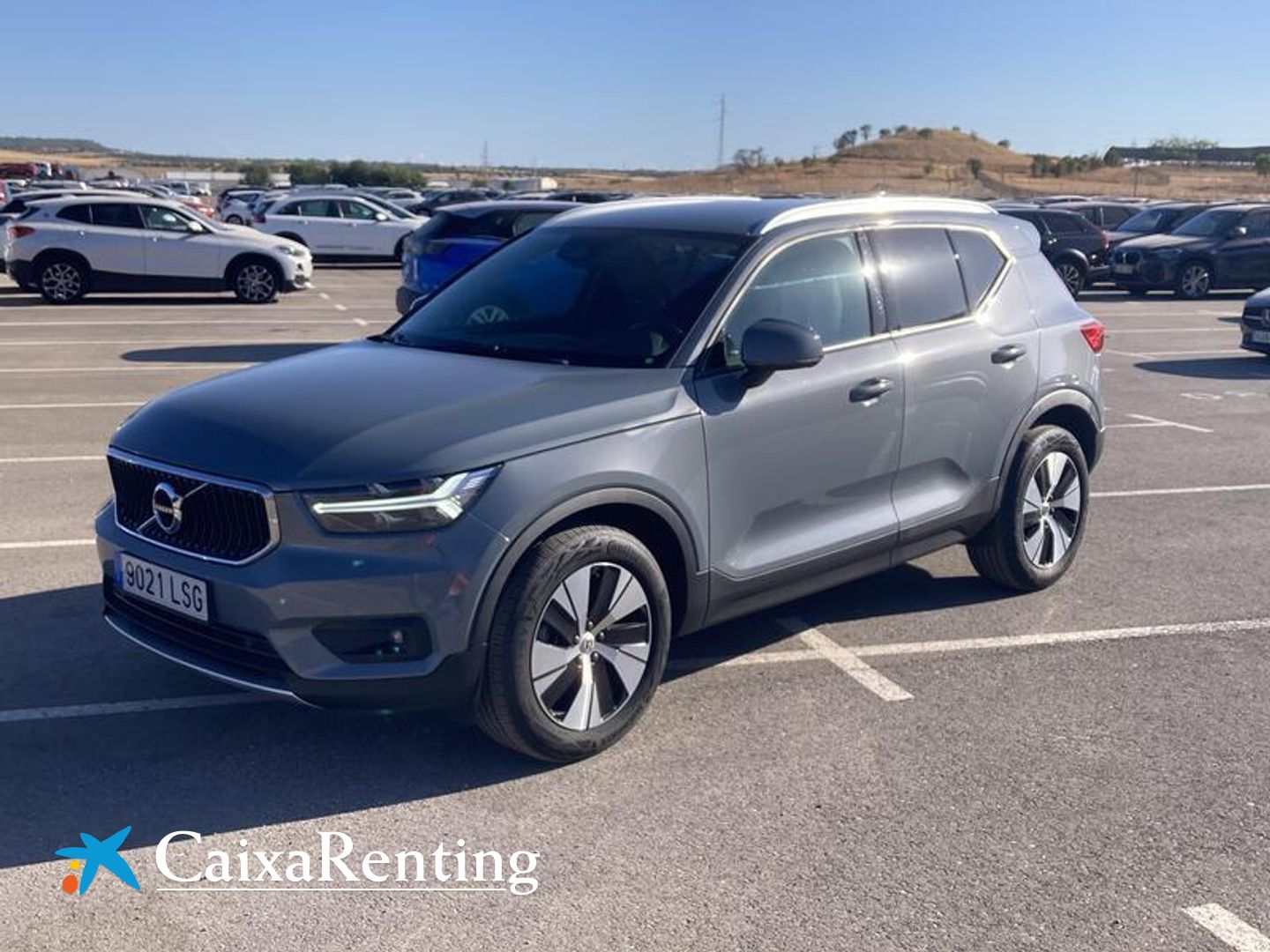 Volvo XC40 T3 Business Plus Auto 120 kW (163 CV) Gris SUV