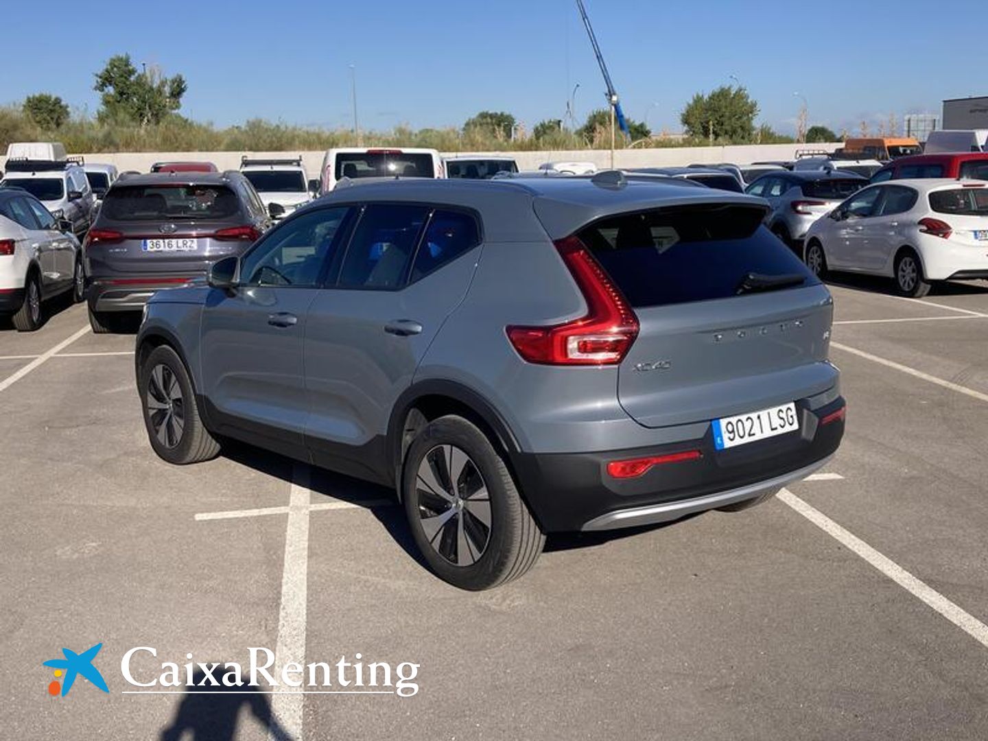 Volvo XC40 T3 Business Plus Auto 120 kW (163 CV)