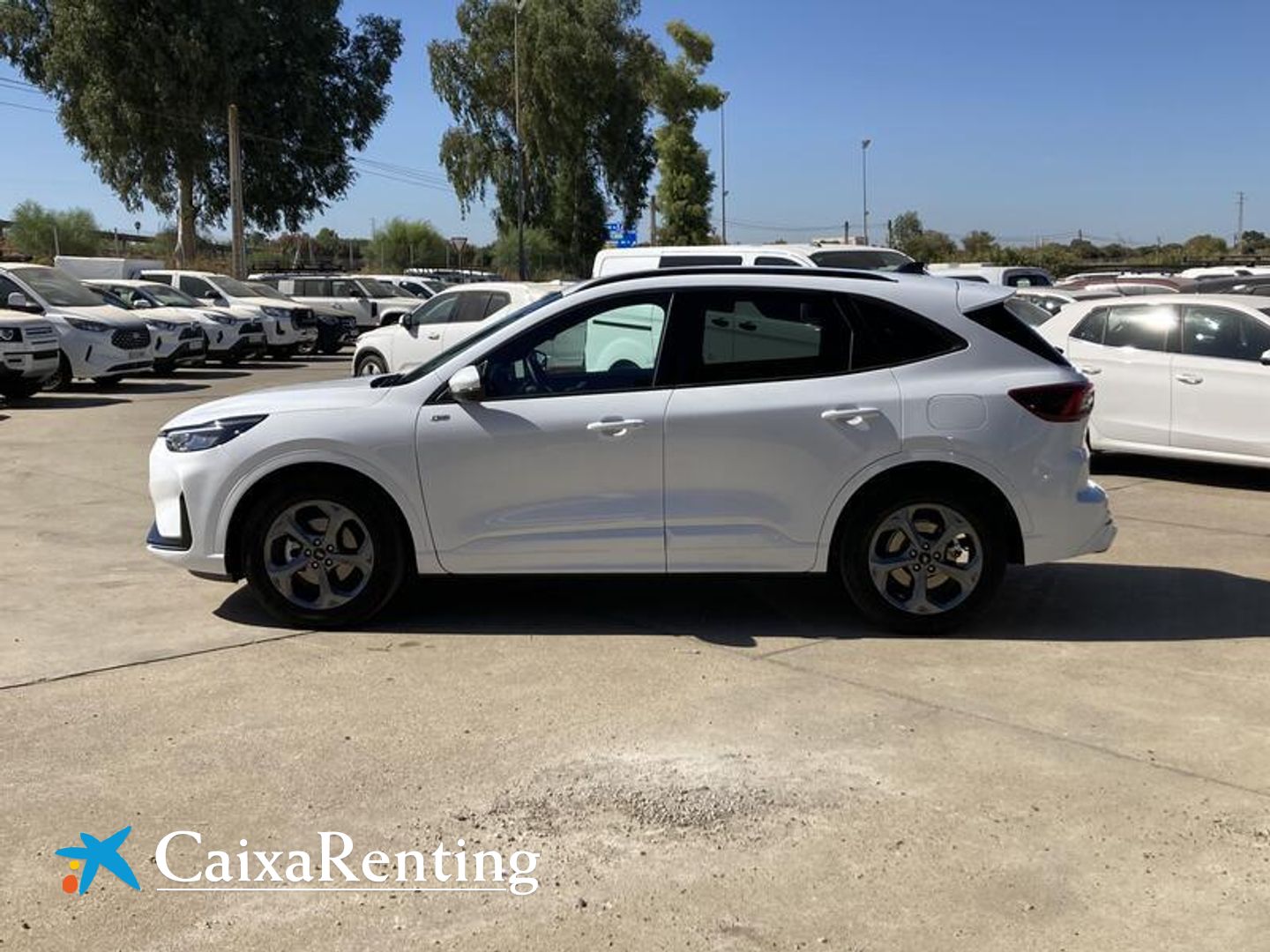 Ford Kuga 2.5 Duratec FHEV ST-Line Auto 132 kW (180 CV)