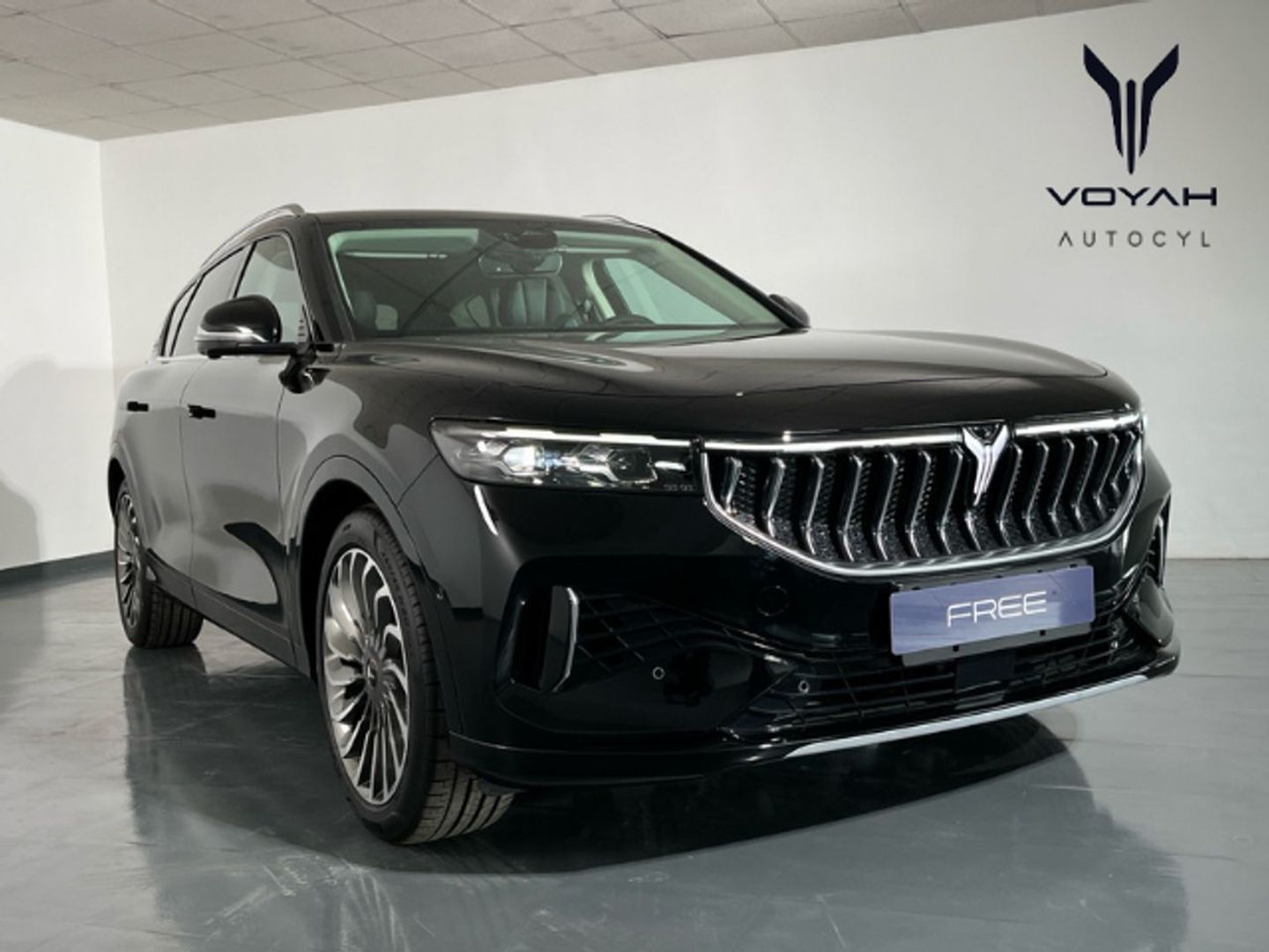 Voyah Free 107kW Luxury 360 kW (489 CV) Negro All Terrain / Pick-up