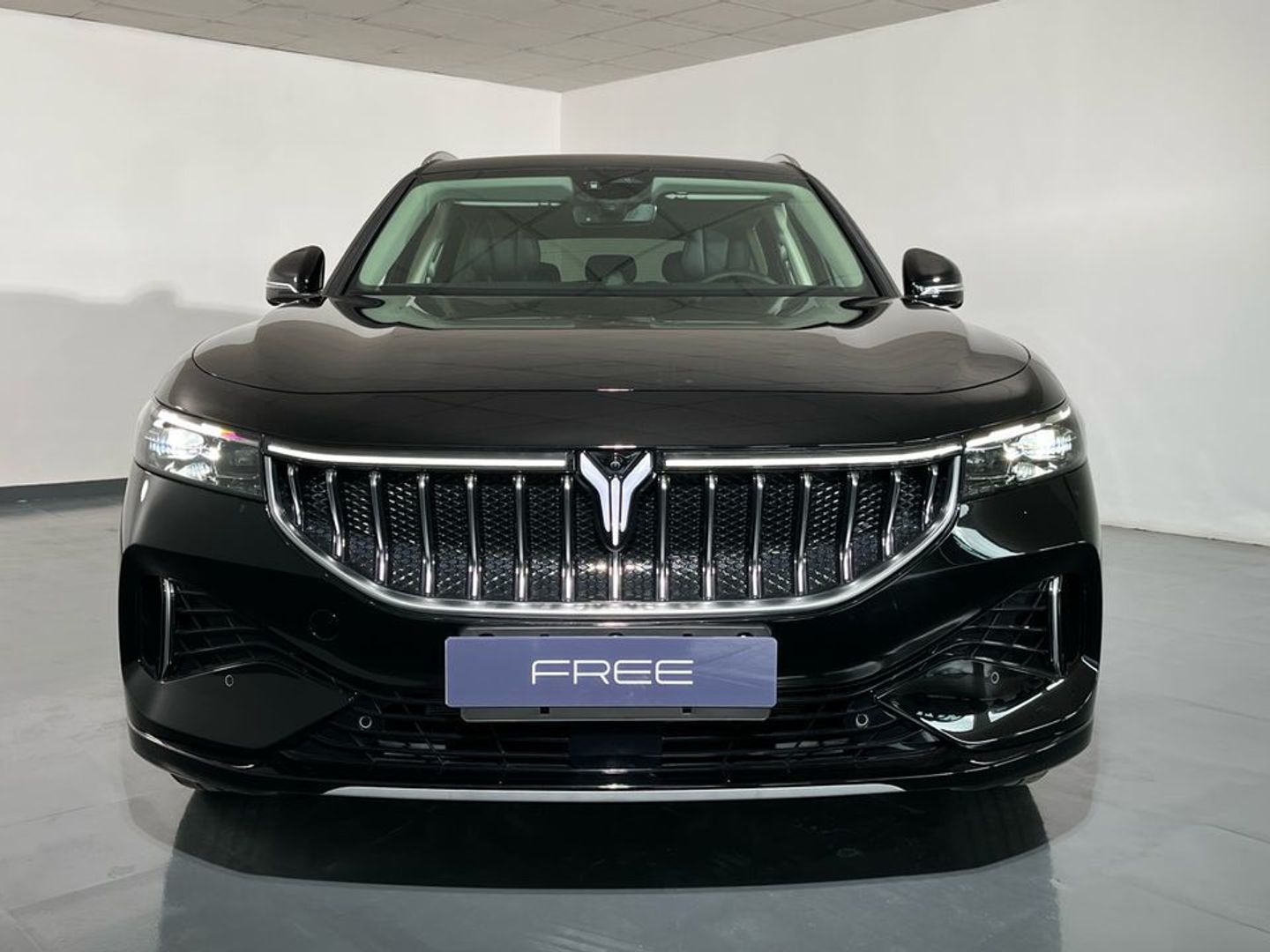 Voyah Free 107kW Luxury 360 kW (489 CV)