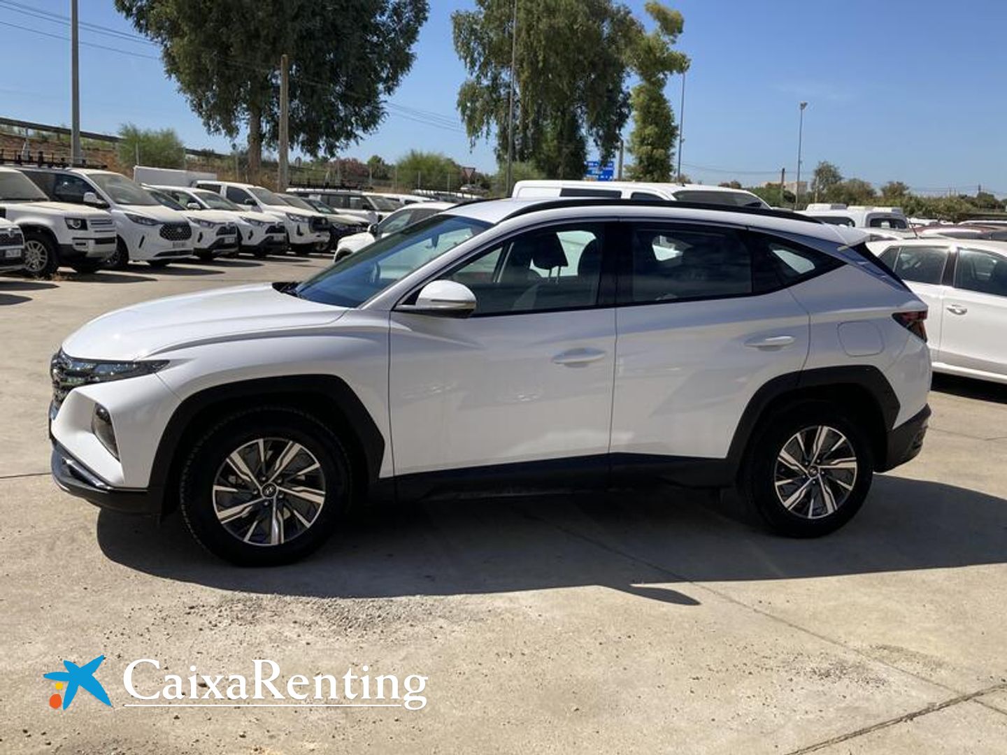 Hyundai Tucson 1.6 TGDI HEV Maxx Auto 169 kW (230 CV)