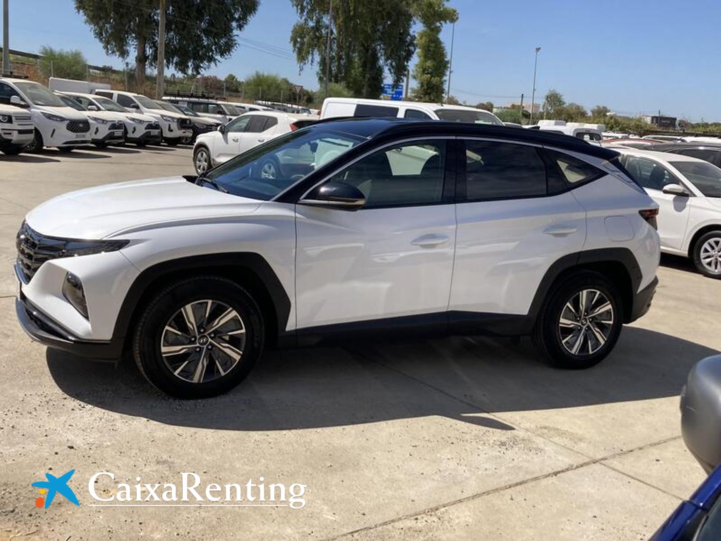 Hyundai Tucson 1.6 CRDI Maxx 85 kW (115 CV)