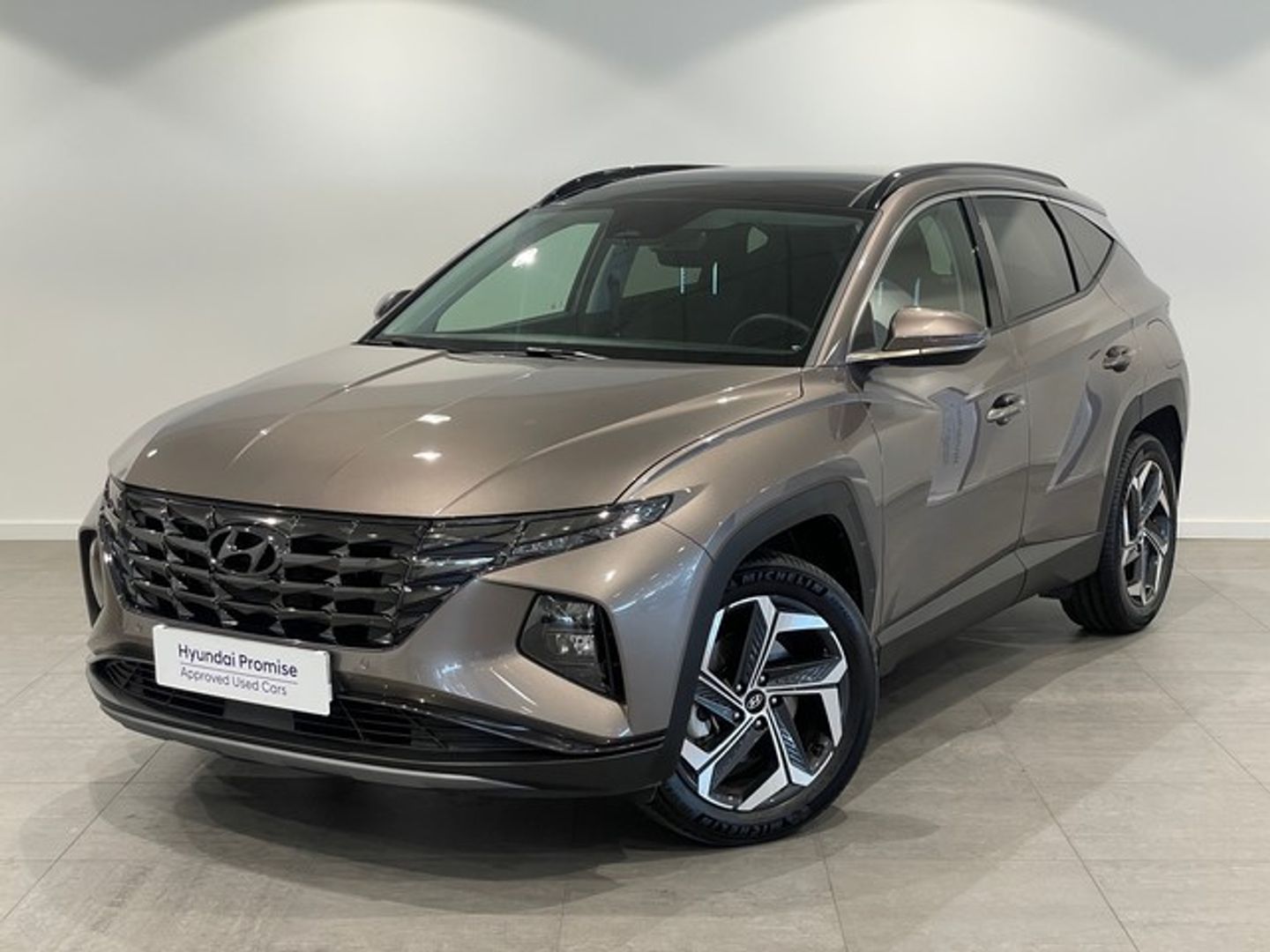 Hyundai Tucson 1.6 TGDI HEV Tecno Sky Auto 169 kW (230 CV) Marrón SUV