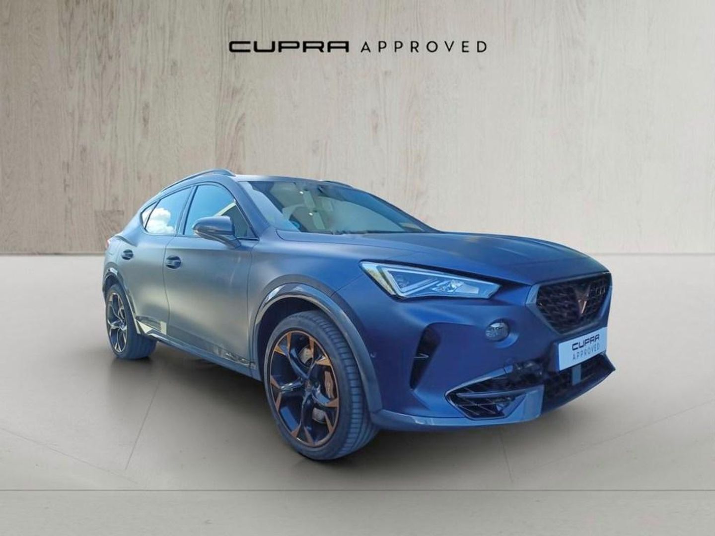 CUPRA Formentor 2.0 TSI VZ 4Drive DSG 228 kW (310 CV) Gris All Terrain / Pick-up