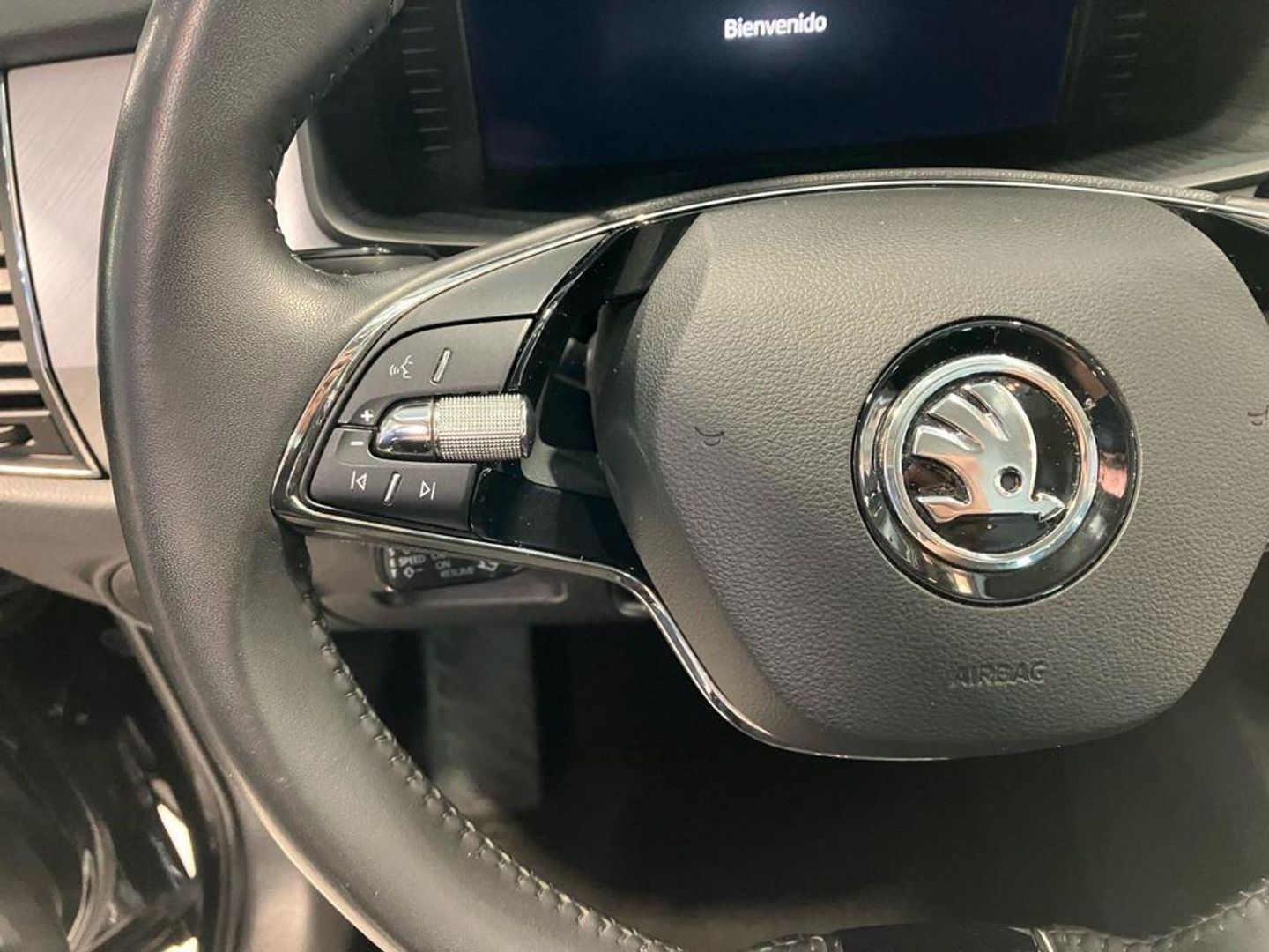 Skoda Kodiaq 2.0 TDI Ambition 4x2 DSG 110 kW (150 CV)