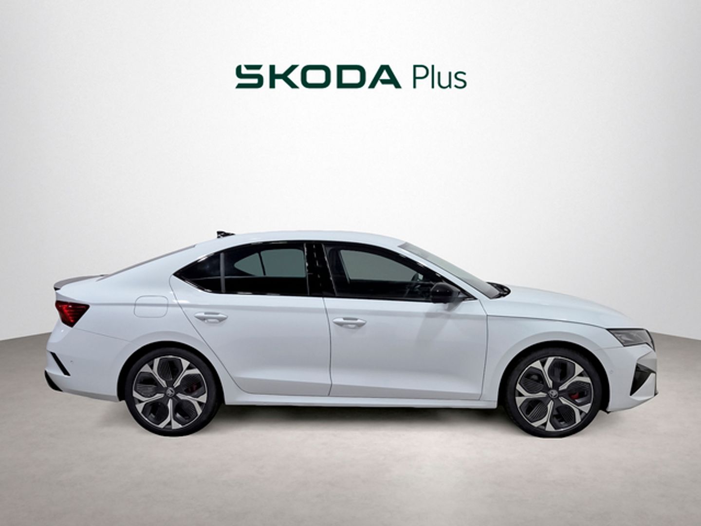 Skoda Octavia 2.0 TSI RS DSG 195 kW (265 CV)