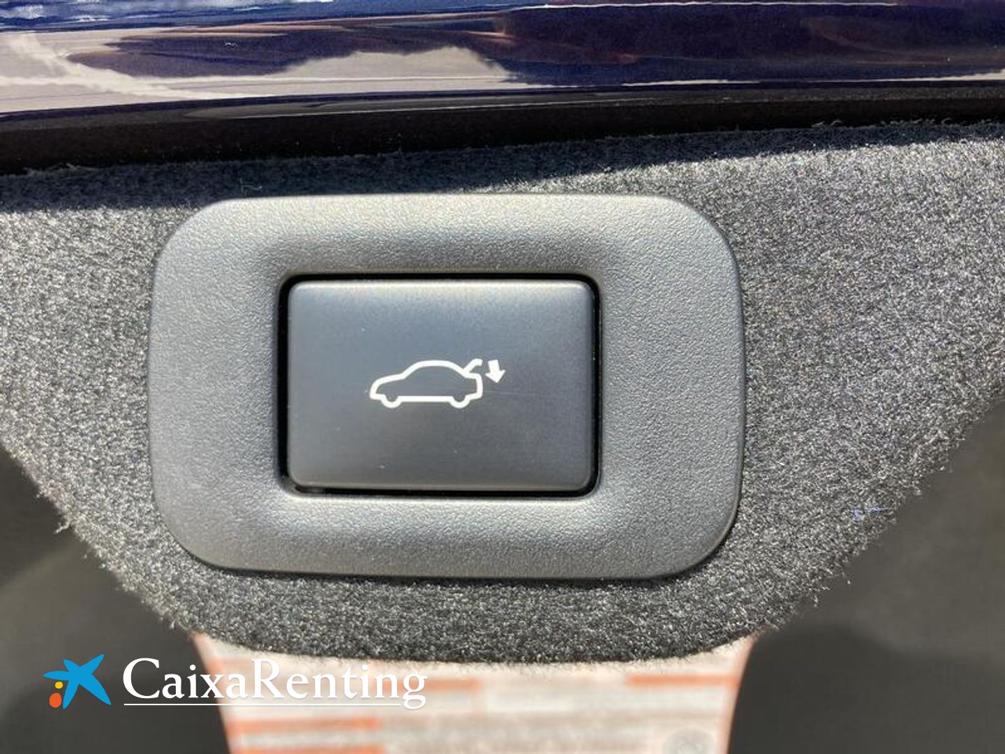 Lexus ES 300h Luxury D-View 160 kW (218 CV)
