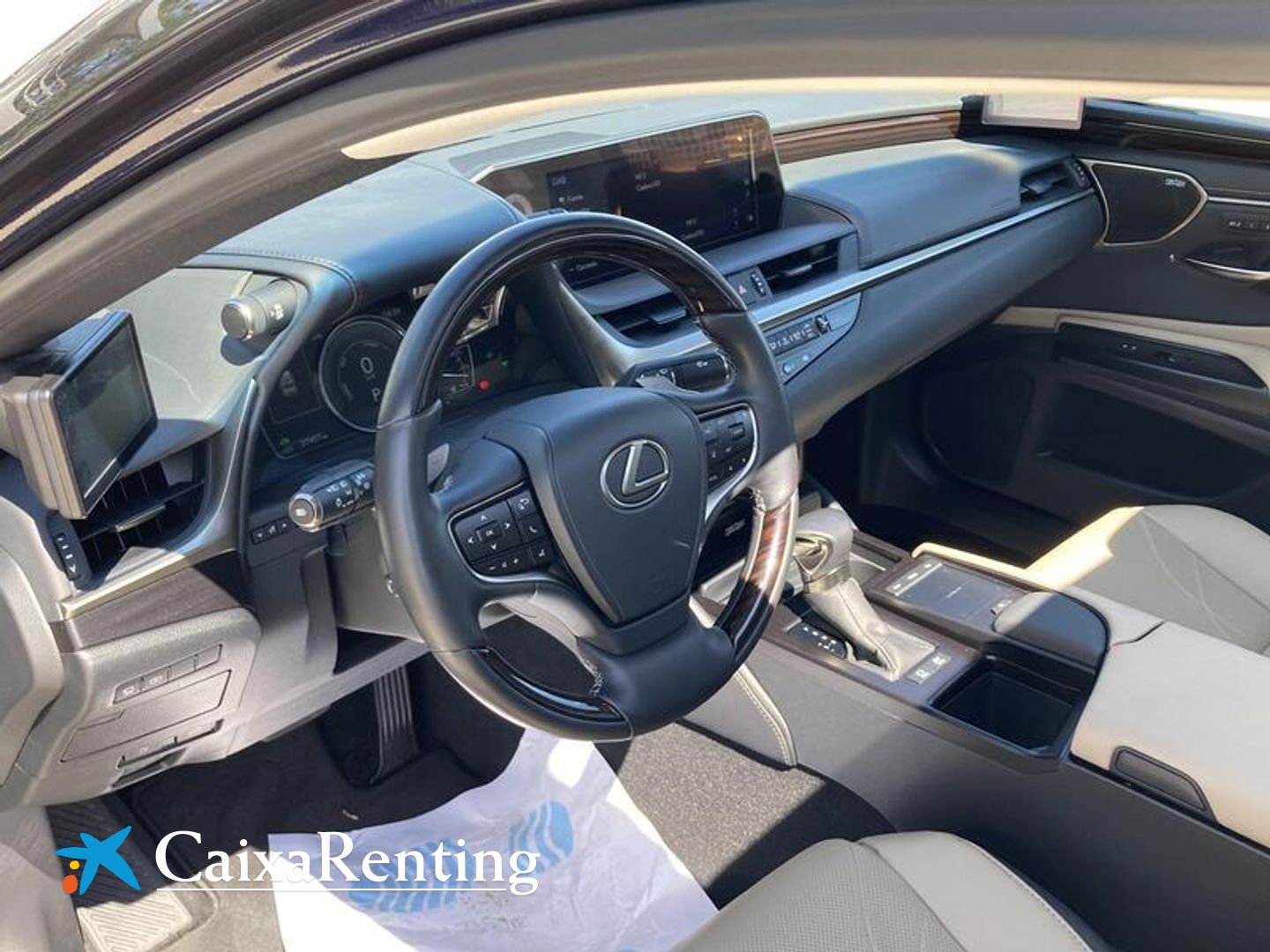 Lexus ES 300h Luxury D-View 160 kW (218 CV)