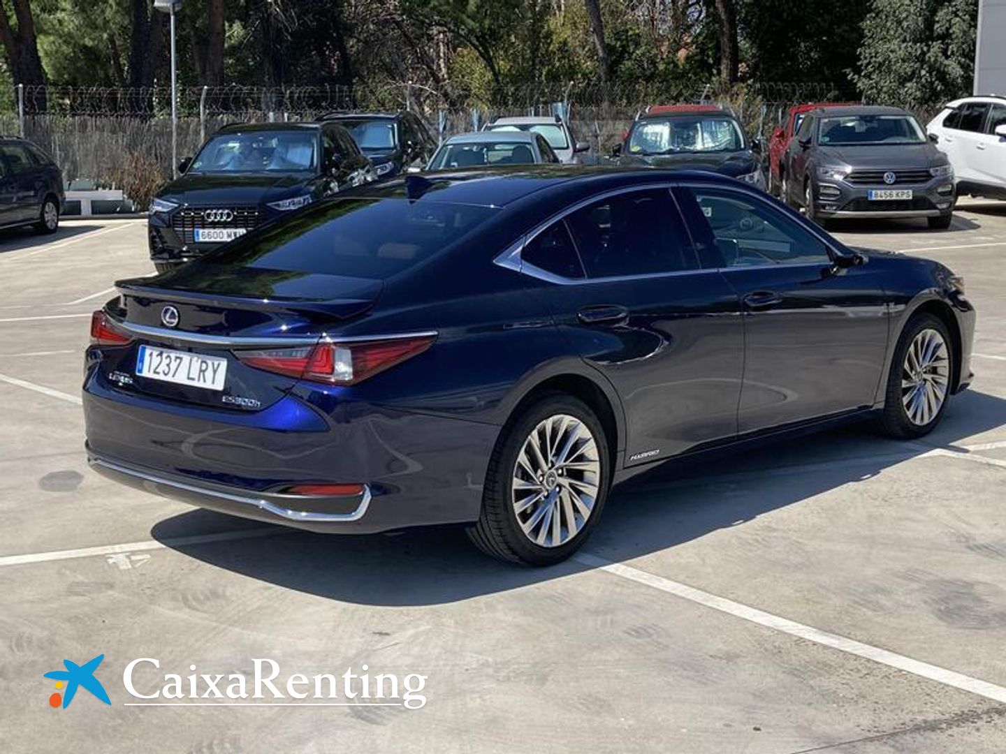 Lexus ES 300h Luxury D-View 160 kW (218 CV)