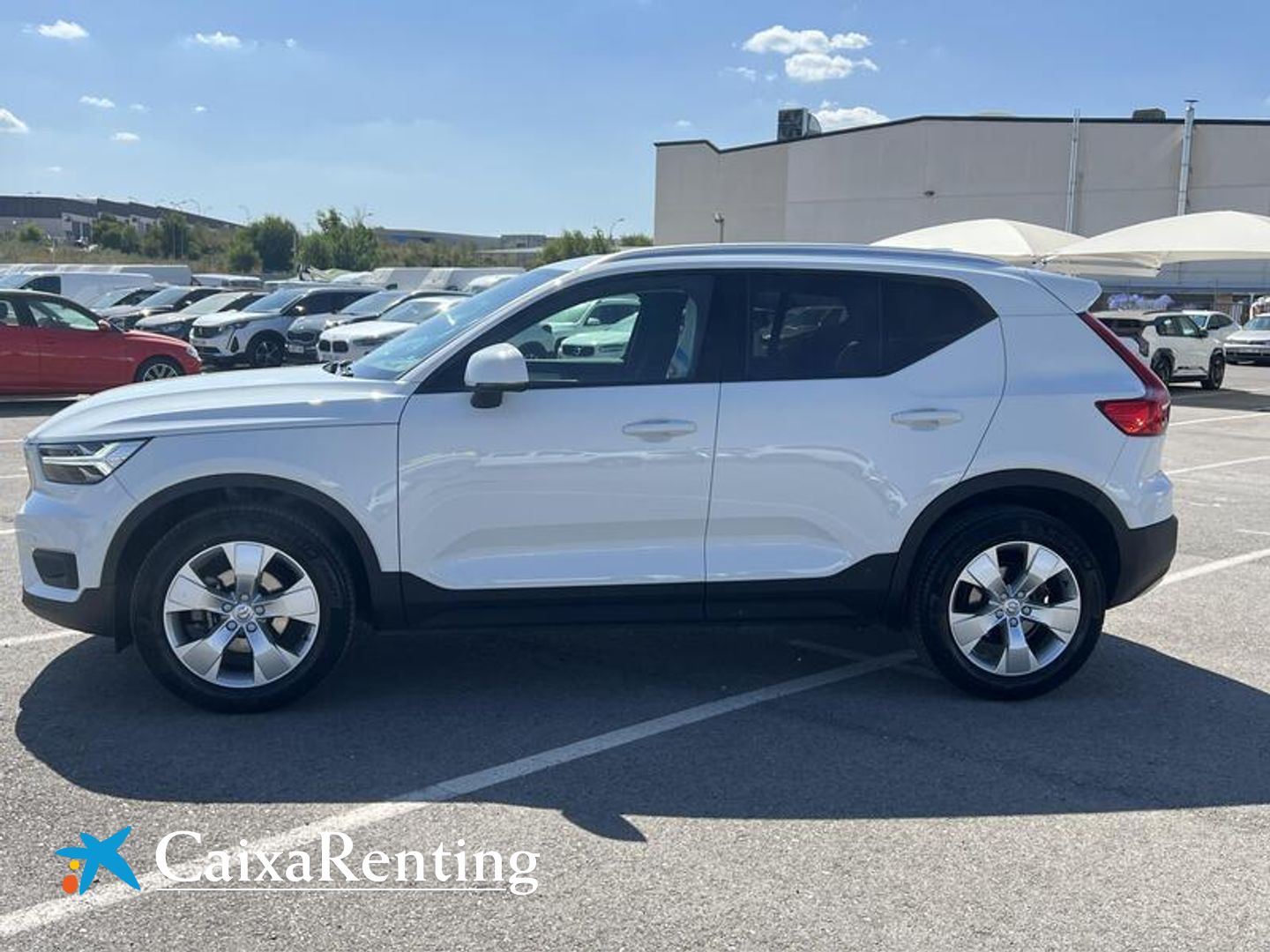 Volvo XC40 T3 Business Plus Auto 120 kW (163 CV)
