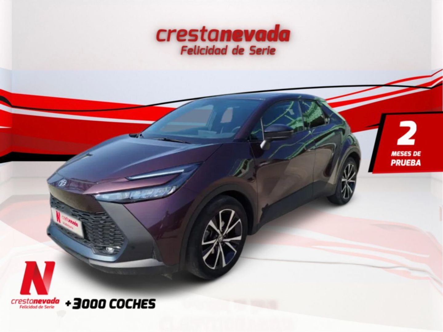 Toyota C-HR 140H Advance 103 kW (140 CV) Violeta SUV