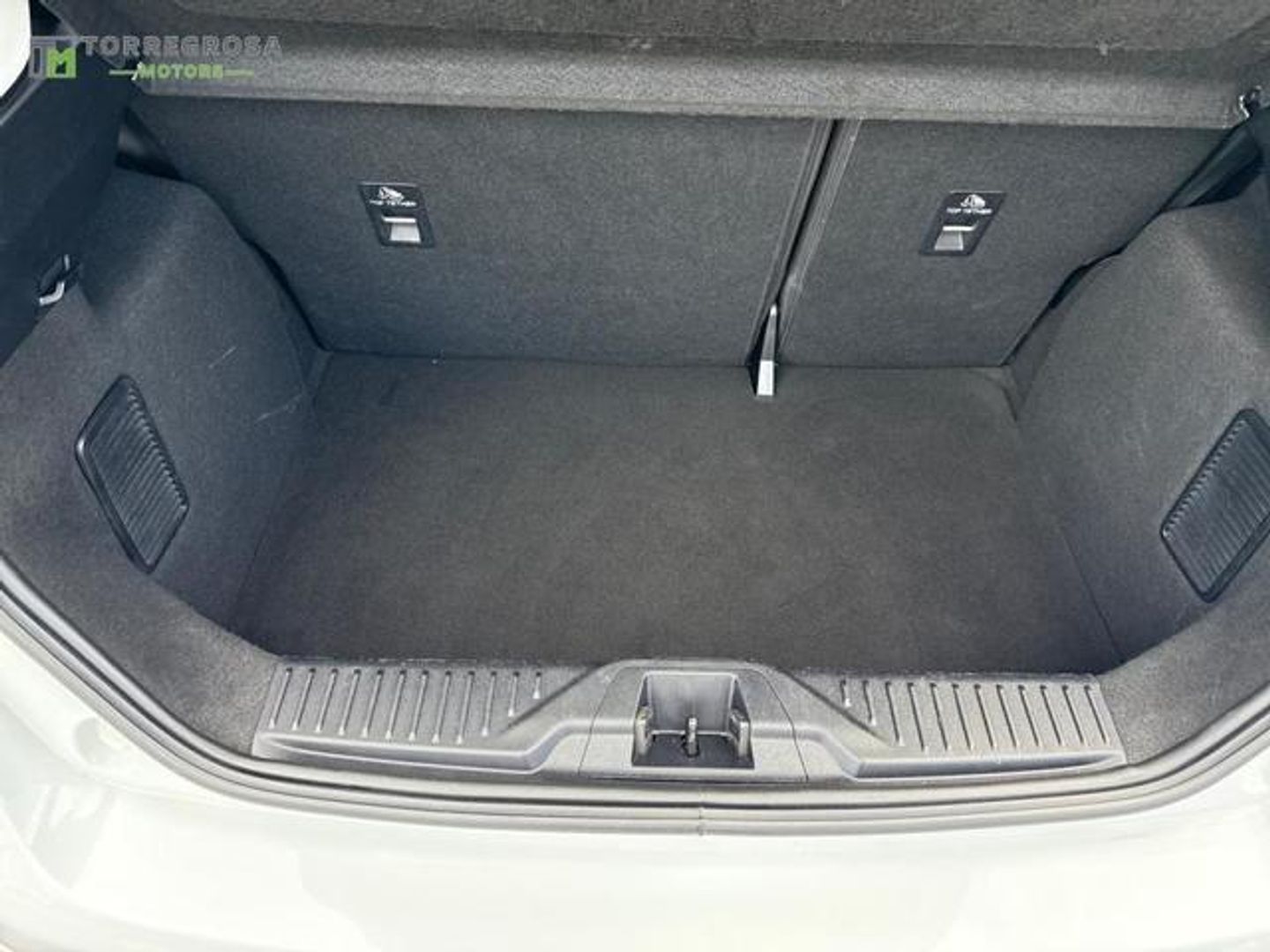 Ford Fiesta 1.0 EcoBoost Trend 74 kW (100 CV)