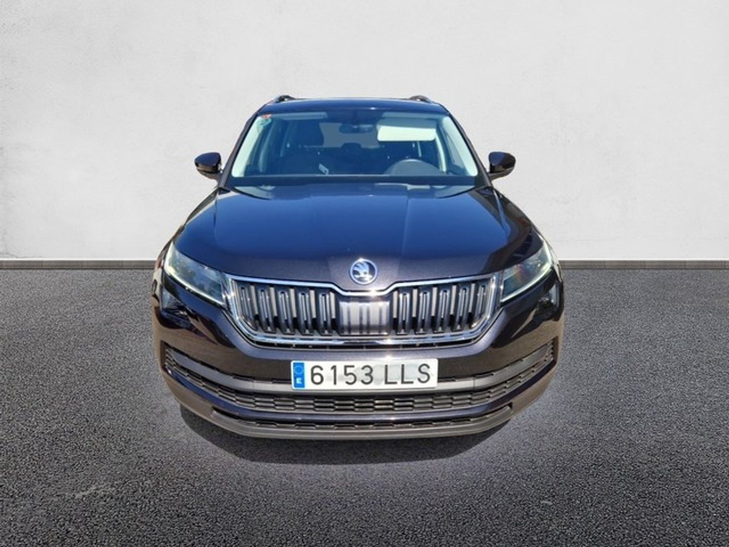 Skoda Kodiaq 2.0 TDI Ambition 4x2 DSG 110 kW (150 CV)