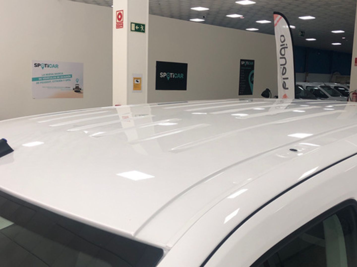 Citroen ë-Berlingo Talla M Plus 50 kWh 100 kW (136 CV)