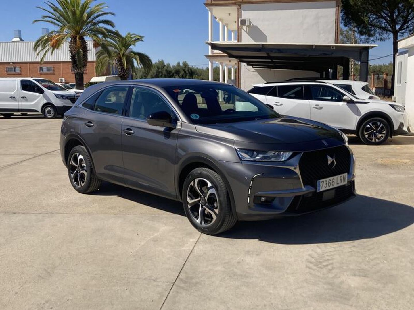 DS DS7 Crossback BlueHDi 130 Bastille Auto 96 kW (130 CV) Gris 
